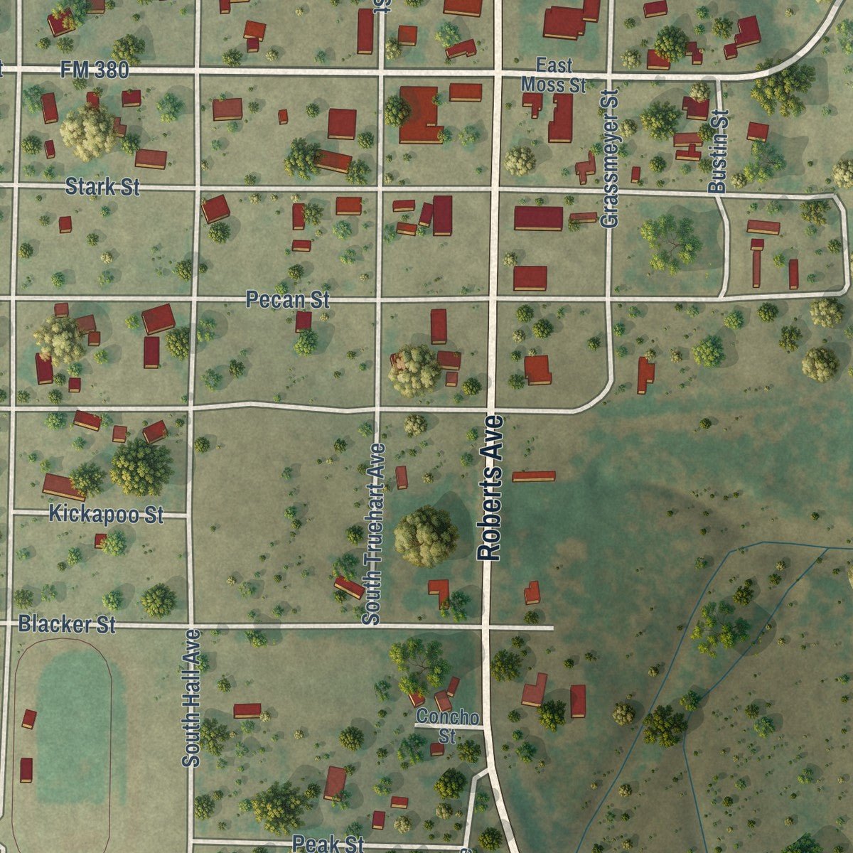 Close-up of the map of Paint Rock, Texas print showing street and building detail