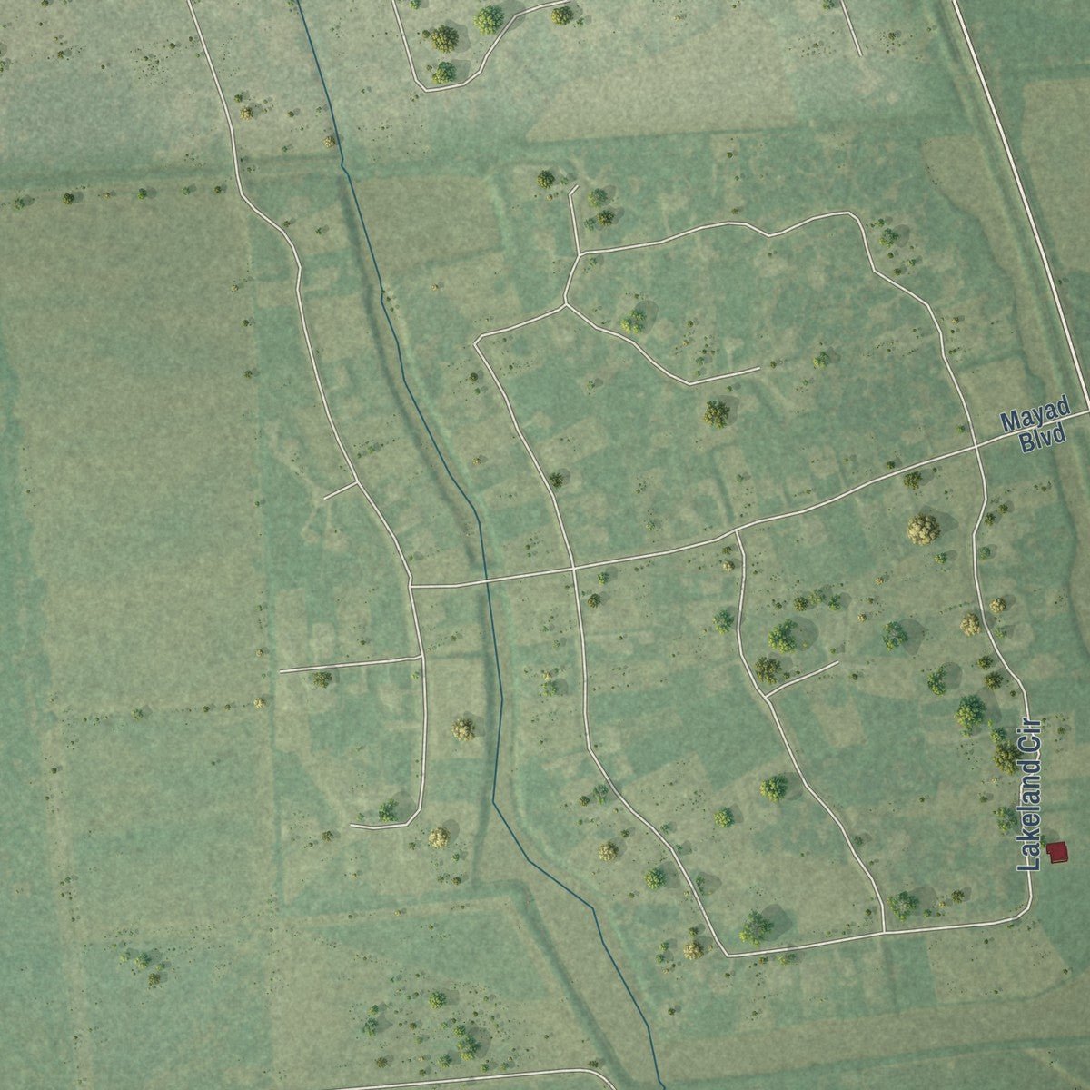 Close-up of the map of Bonney, Texas print showing street and building detail