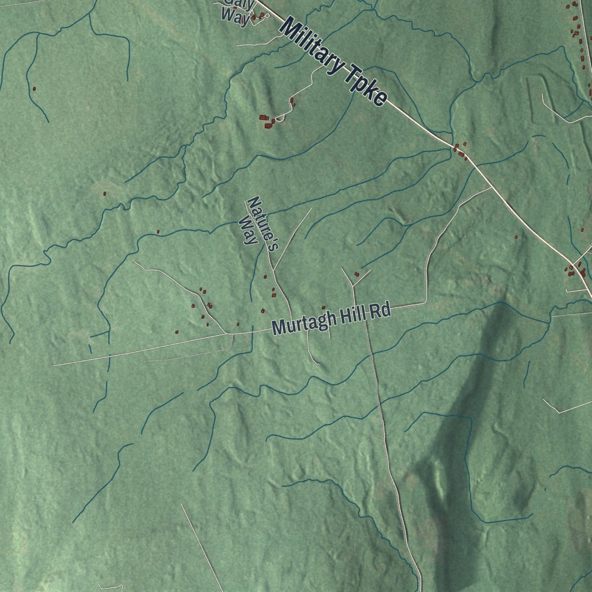 Close-up of the map of Altona, New York print showing street and building detail