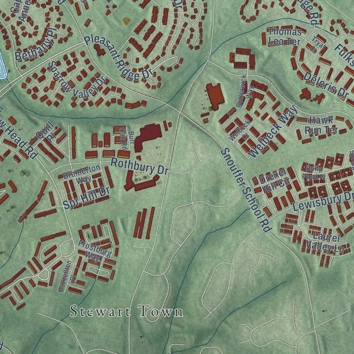 Close-up of the map of Montgomery Village, Maryland print showing street and building detail