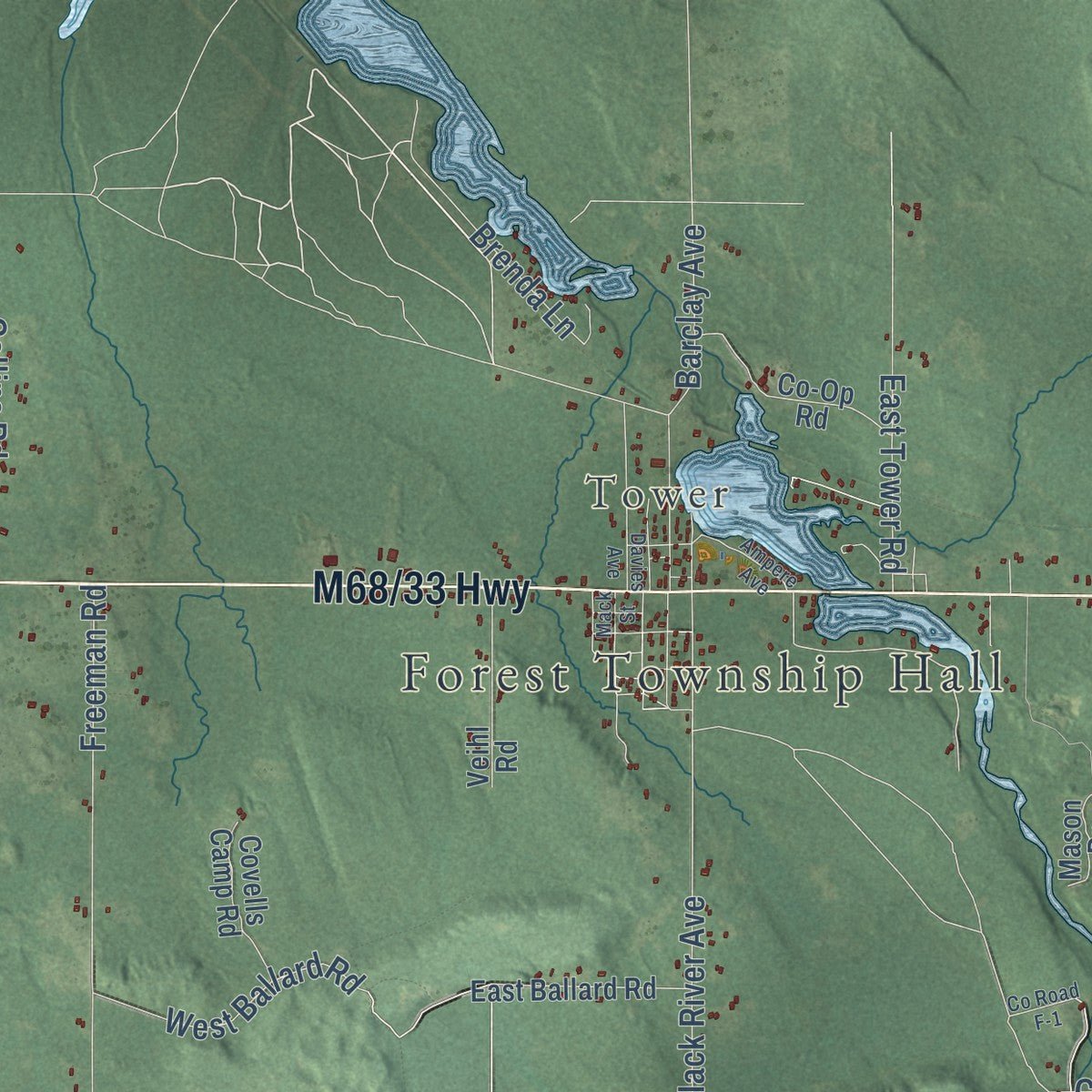 Close-up of the map of Forest, Cheboygan County, Michigan print showing street and building detail
