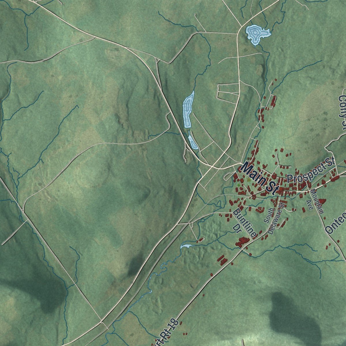 Close-up of the map of Stamford, New York print showing street and building detail