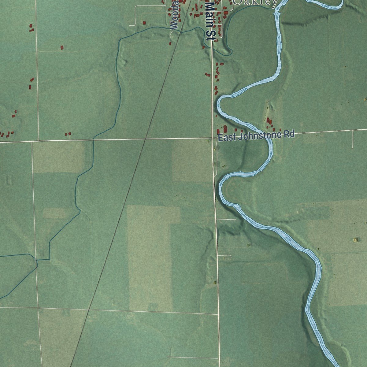 Close-up of the map of Brady, Saginaw County, Michigan print showing street and building detail