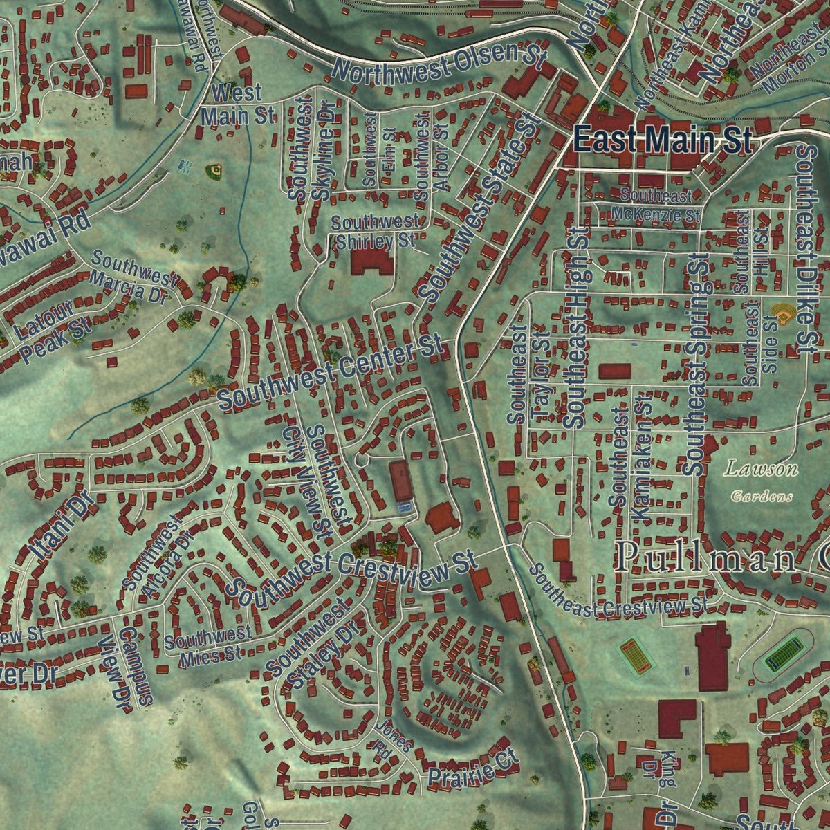 Close-up of the map of Pullman, Washington print showing street and building detail