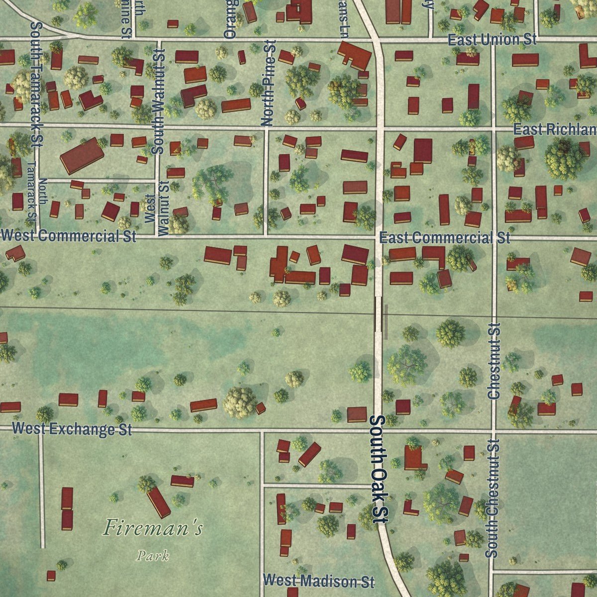 Close-up of the map of Lone Rock, Wisconsin print showing street and building detail