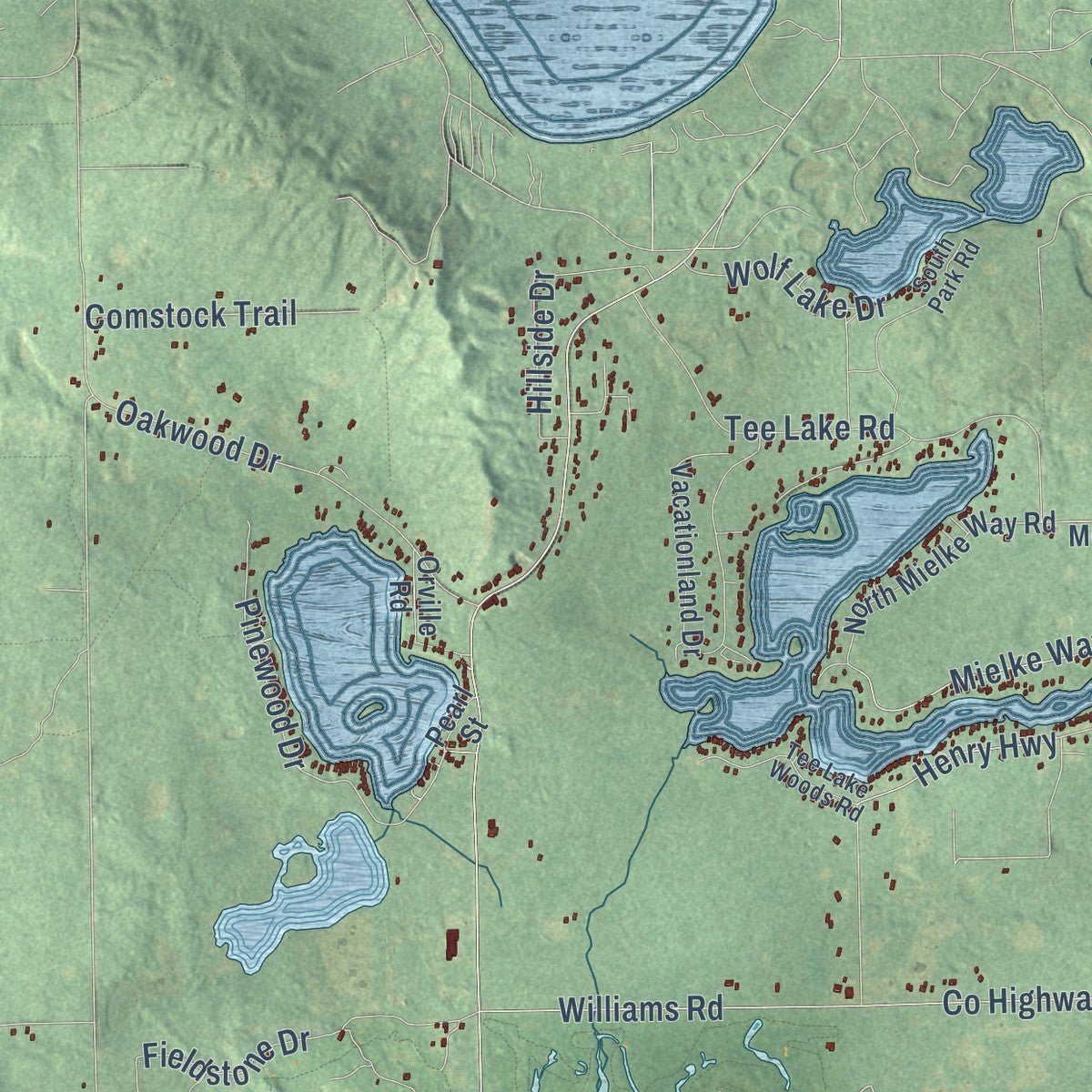Close-up of the map of Greenwood, Oscoda County, Michigan print showing street and building detail