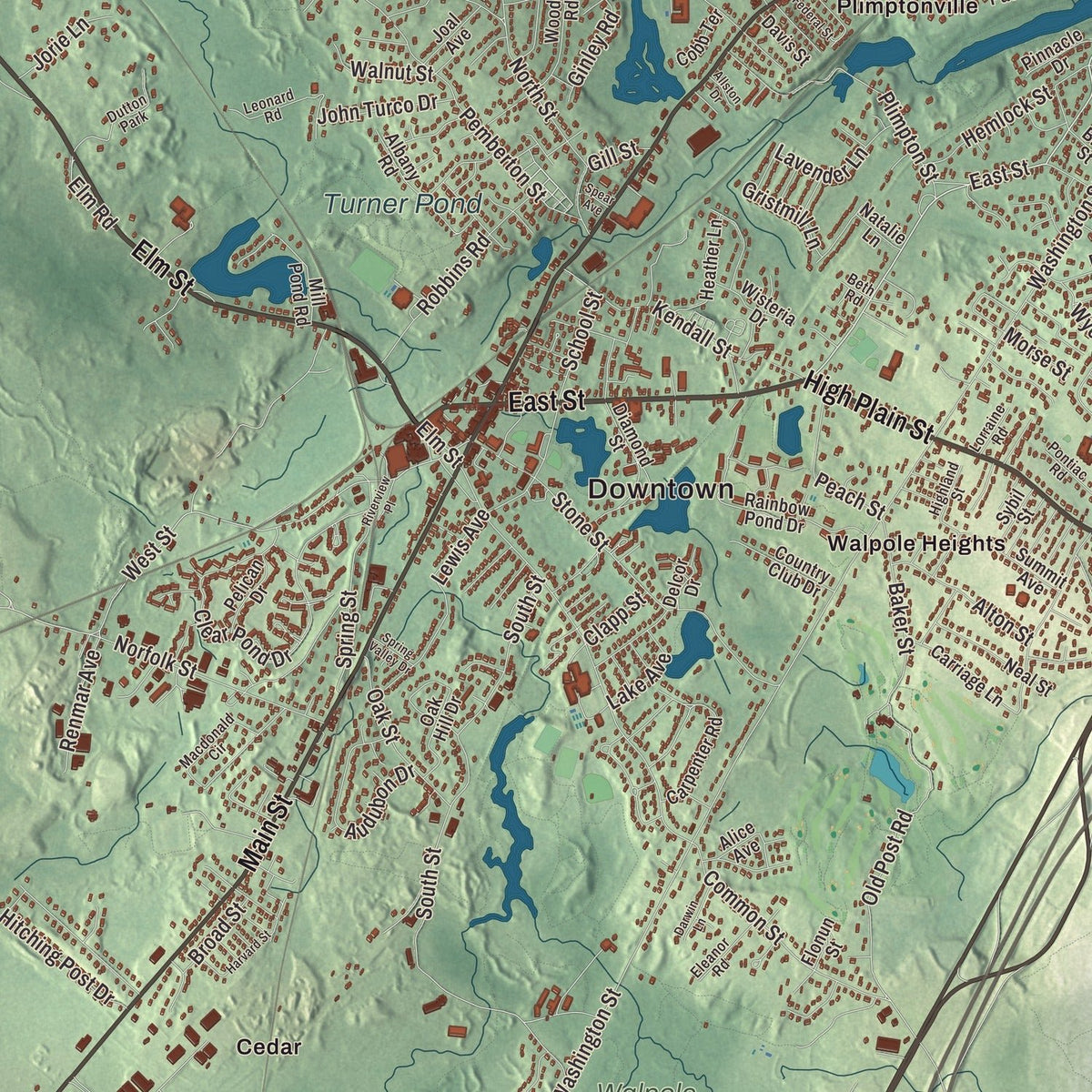 Close-up of the map of Walpole, Massachusetts print showing streets and neighborhoods