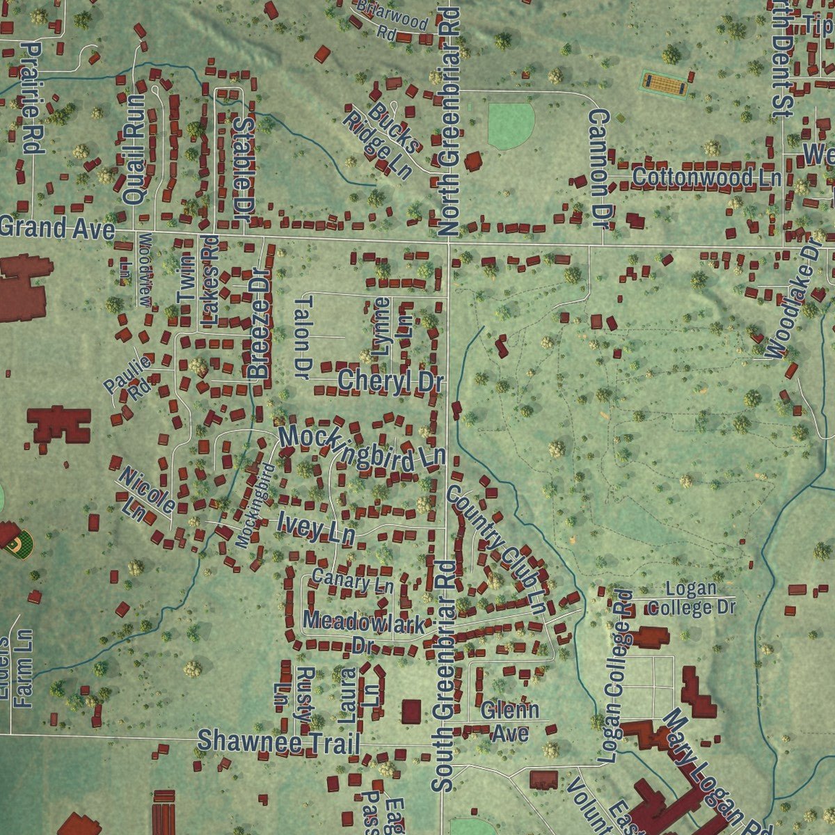 Close-up of the map of Carterville, Illinois print showing street and building detail