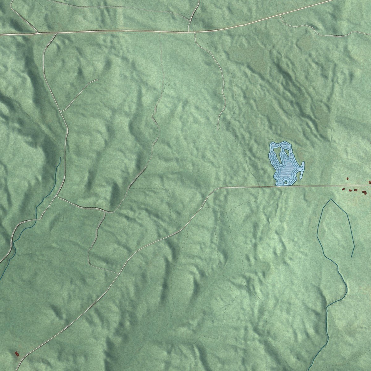 Close-up of the map of Henderson, Michigan print showing street and building detail