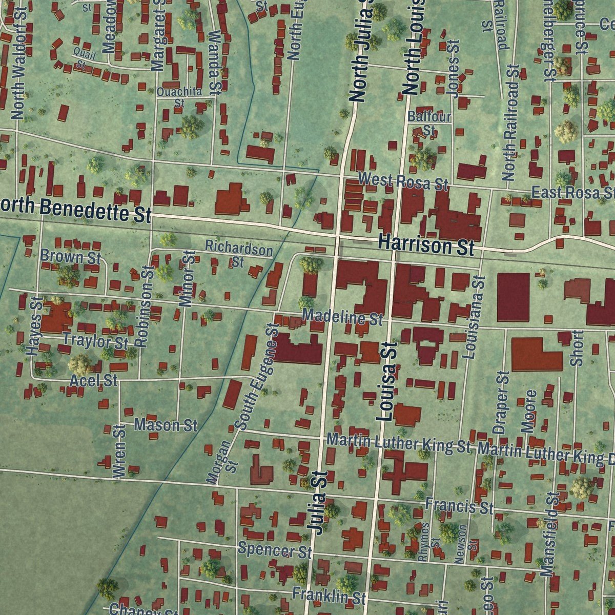 Close-up of the map of Rayville, Louisiana print showing street and building detail
