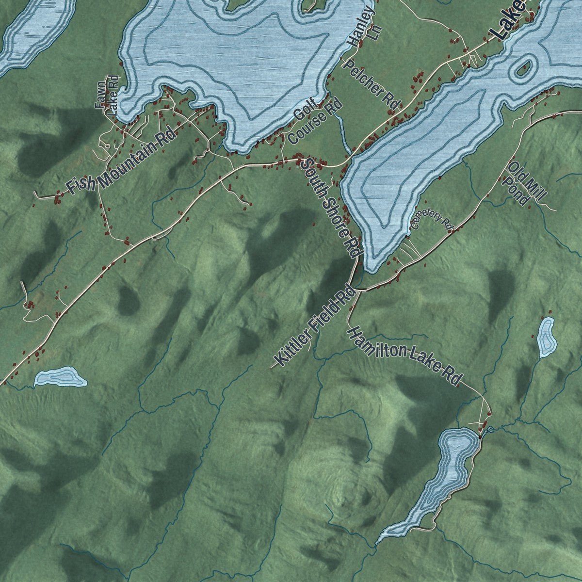 Close-up of the map of Lake Pleasant, New York print showing street and building detail