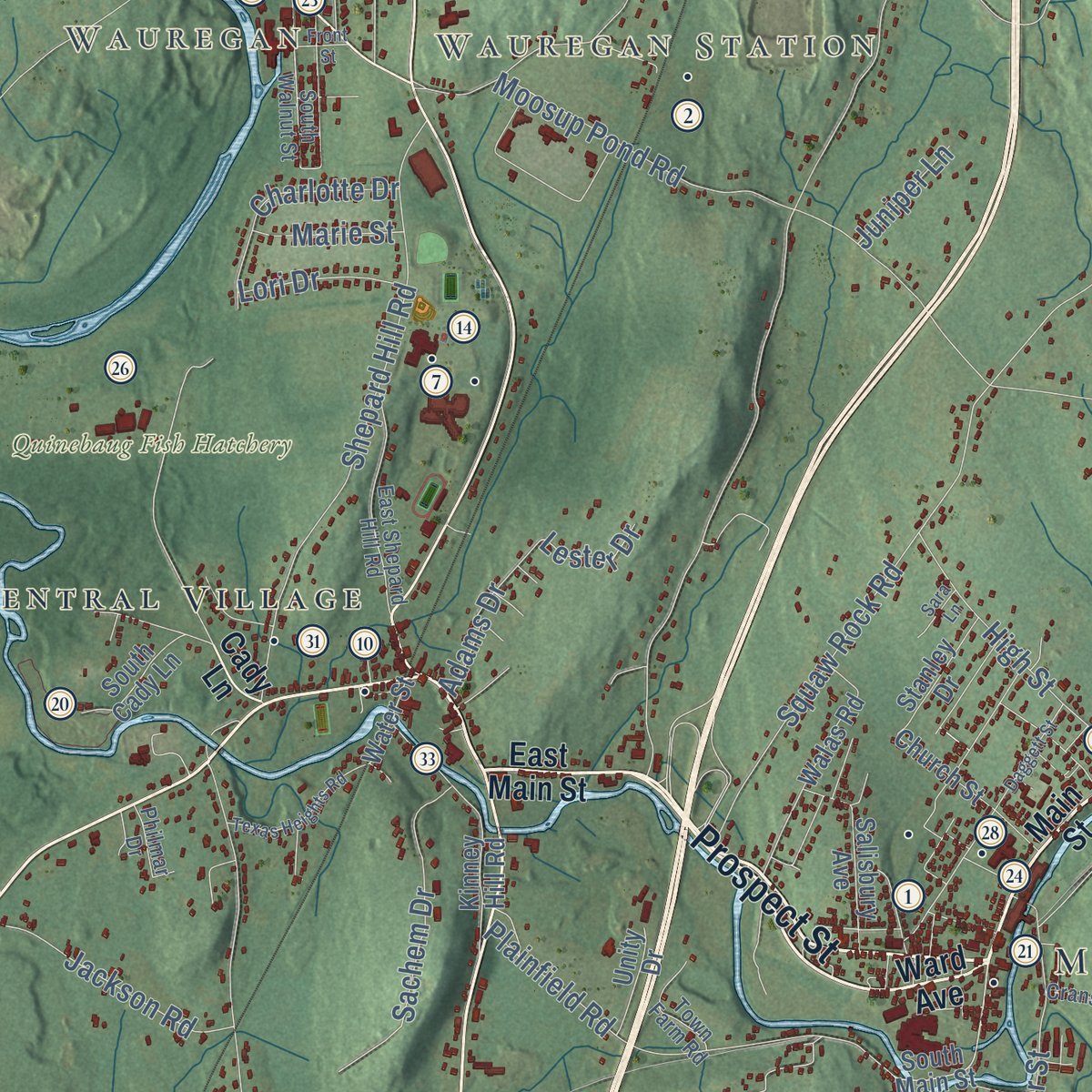 Close-up of the map of Plainfield, Connecticut print showing street and building detail