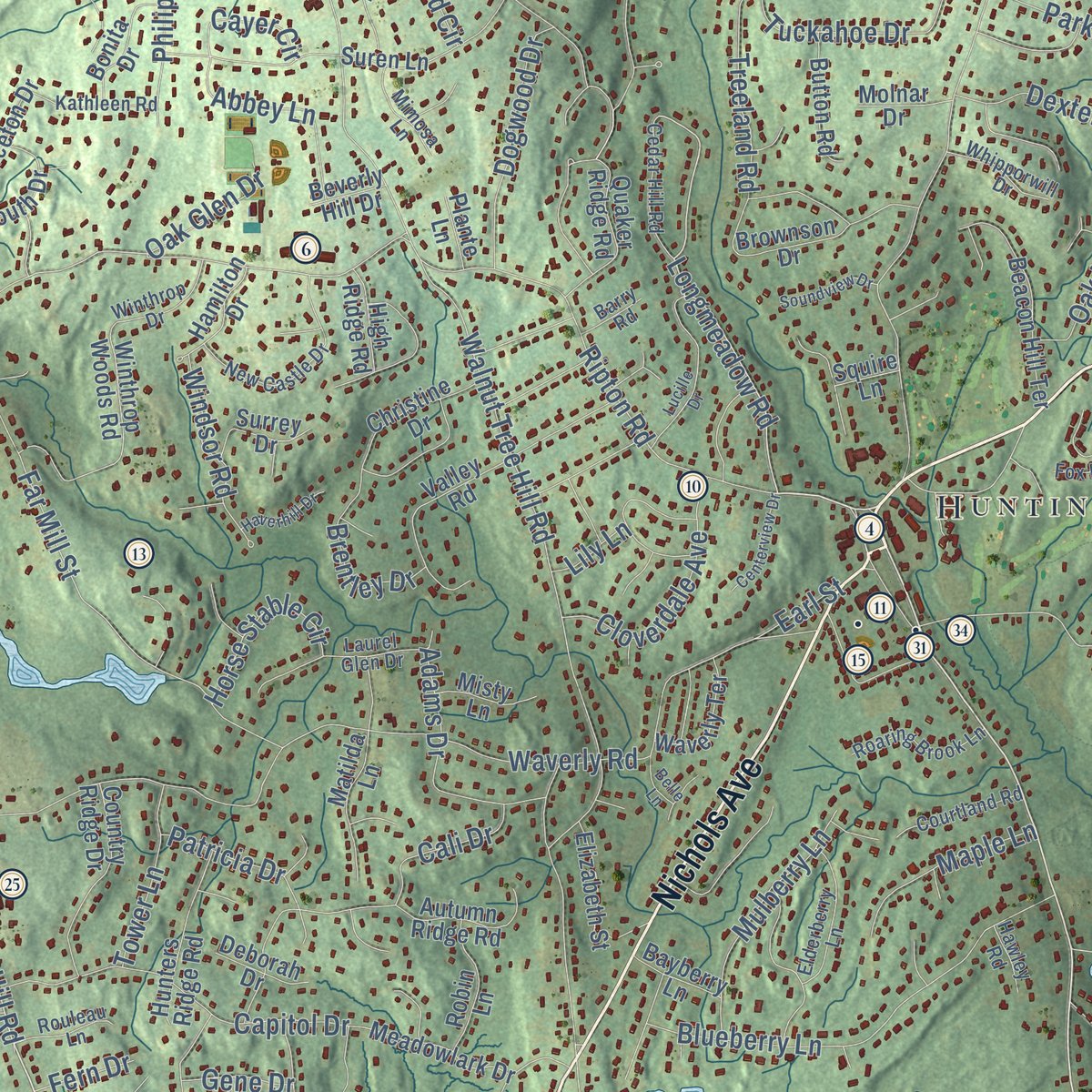 Close-up of the map of Shelton, Connecticut print showing street and building detail