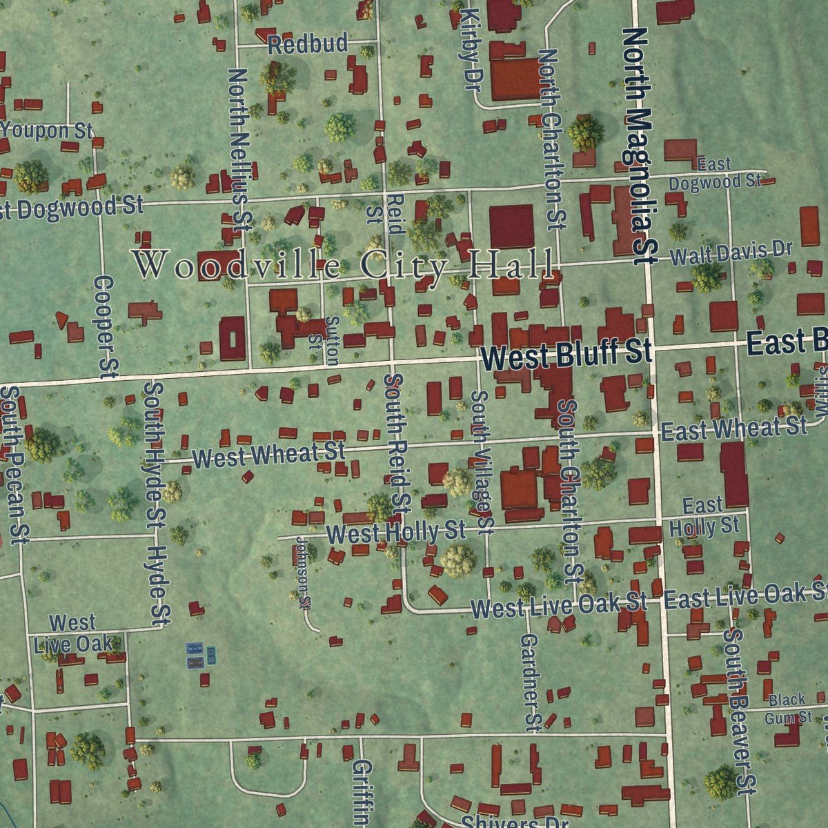 Close-up of the map of Woodville, Texas print showing street and building detail