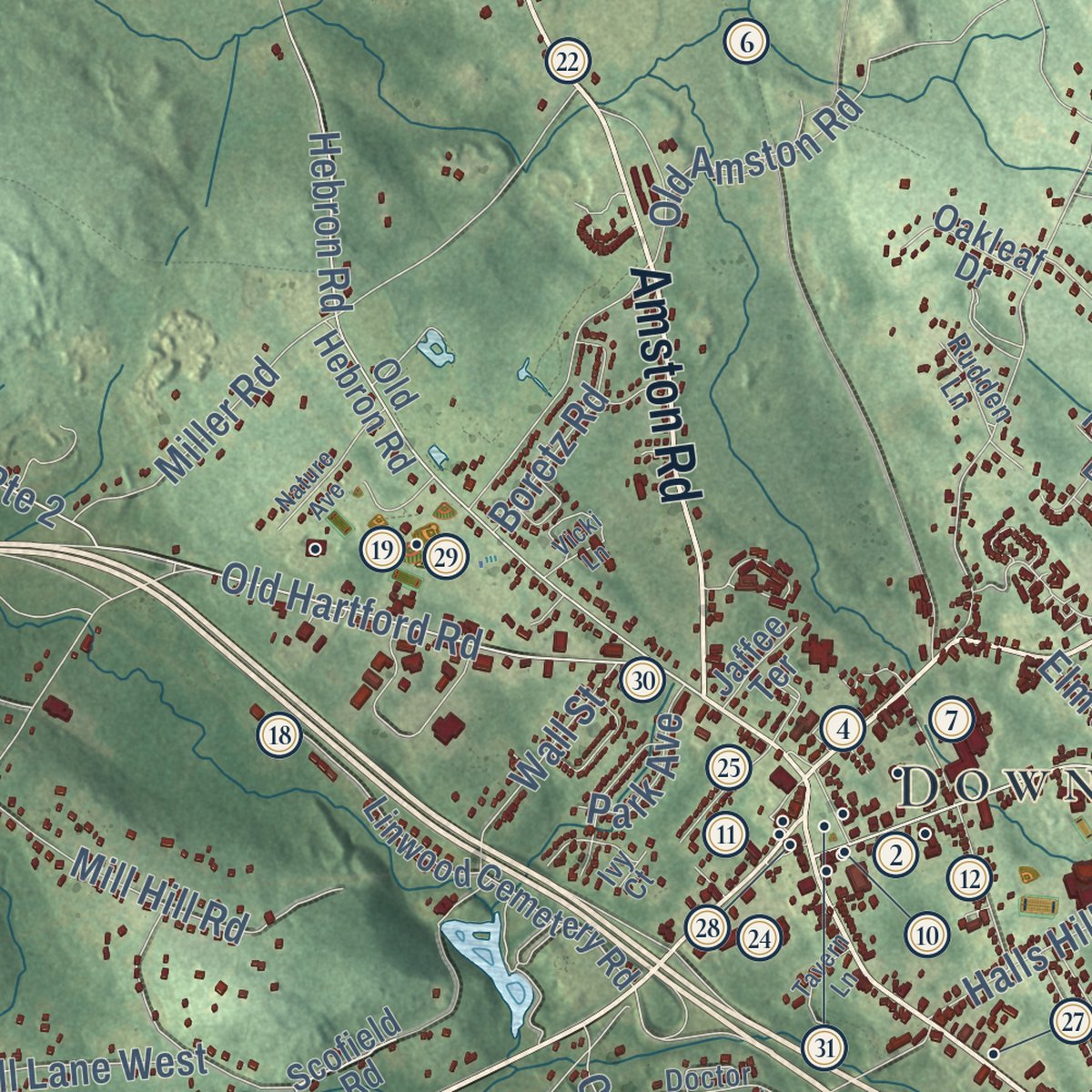 Close-up of the map of Colchester, Connecticut print showing street and building detail