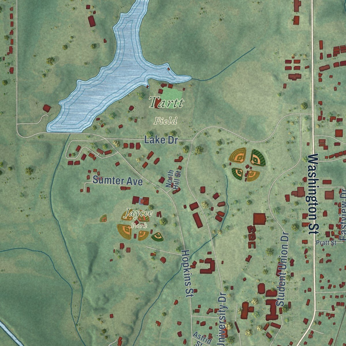 Close-up of the map of Livingston, Alabama print showing street and building detail