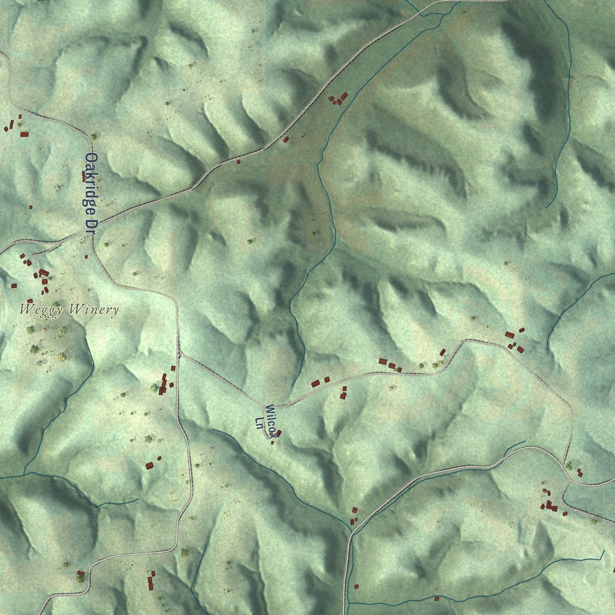 Close-up of the map of Orion, Wisconsin print showing street and building detail