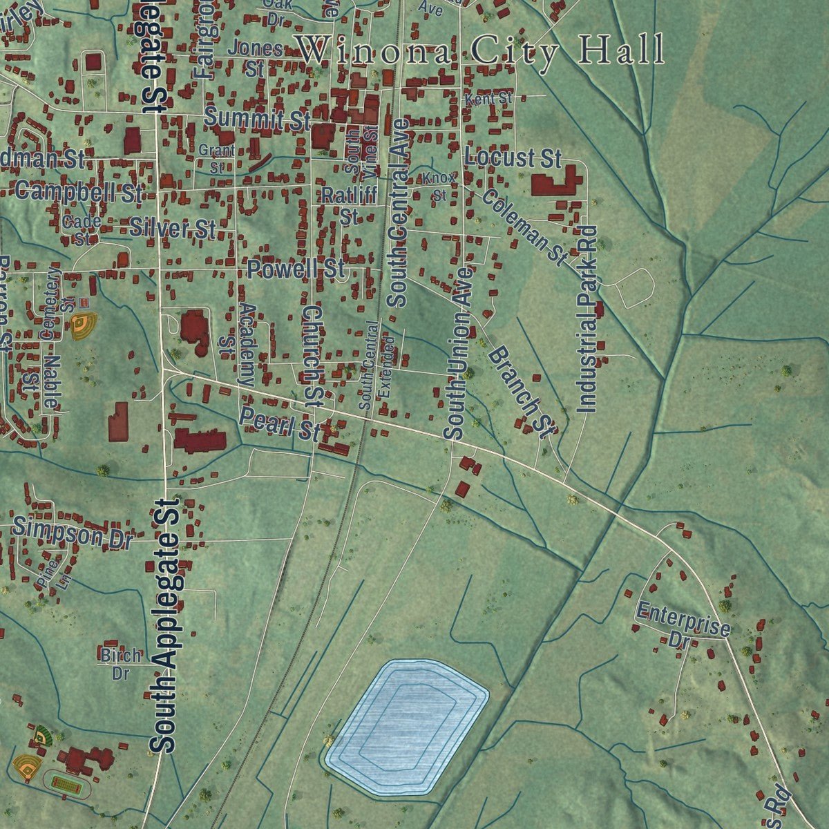 Close-up of the map of Winona, Mississippi print showing street and building detail
