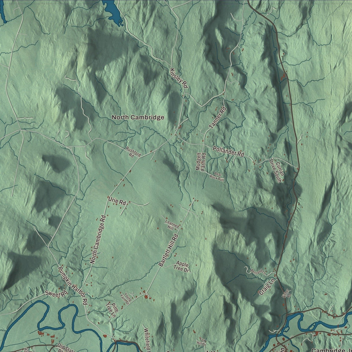 Close-up of the map of Cambridge, Vermont print showing streets and neighborhoods