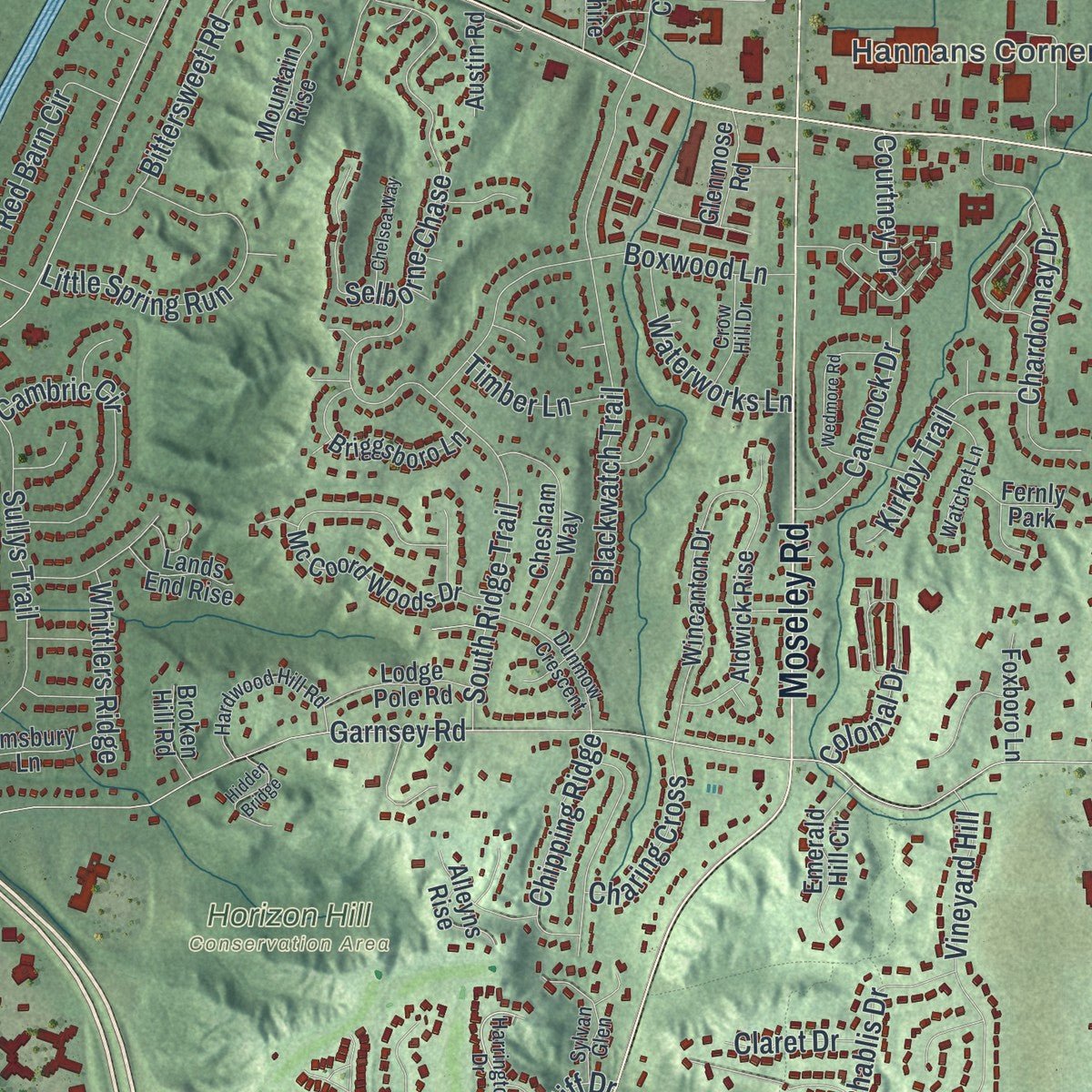 Close-up of the map of Perinton, New York print showing street and building detail