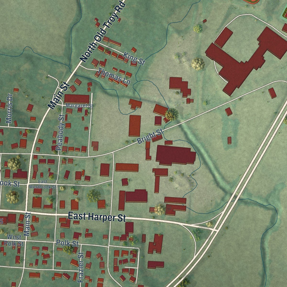 Close-up of the map of Troy, Tennessee print showing street and building detail