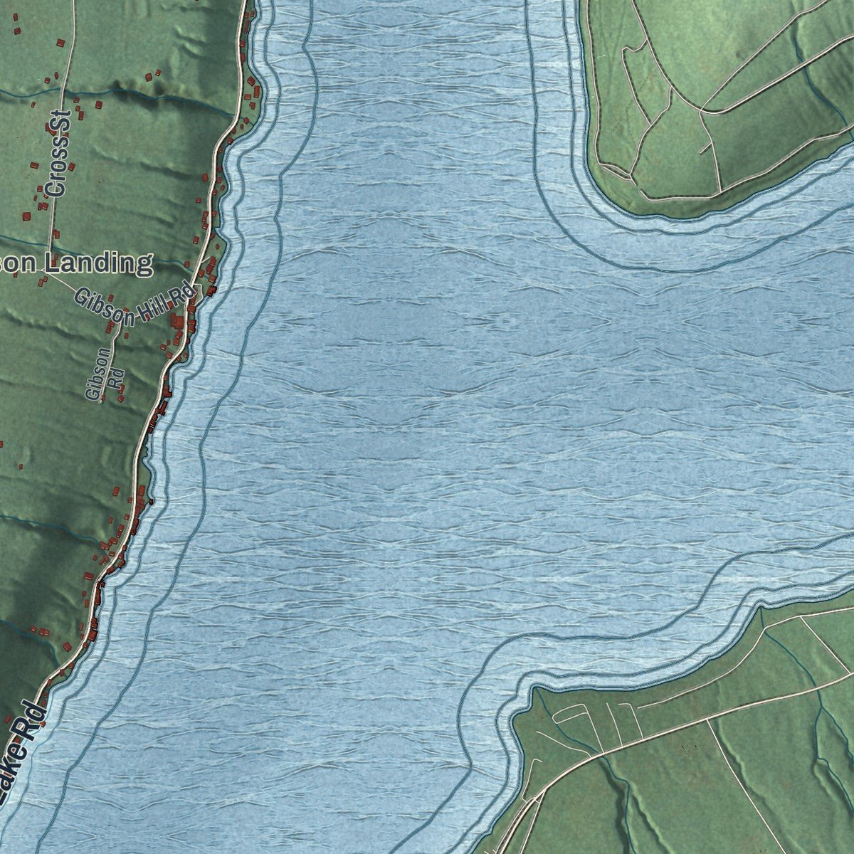 Close-up of the map of Pulteney, New York print showing street and building detail