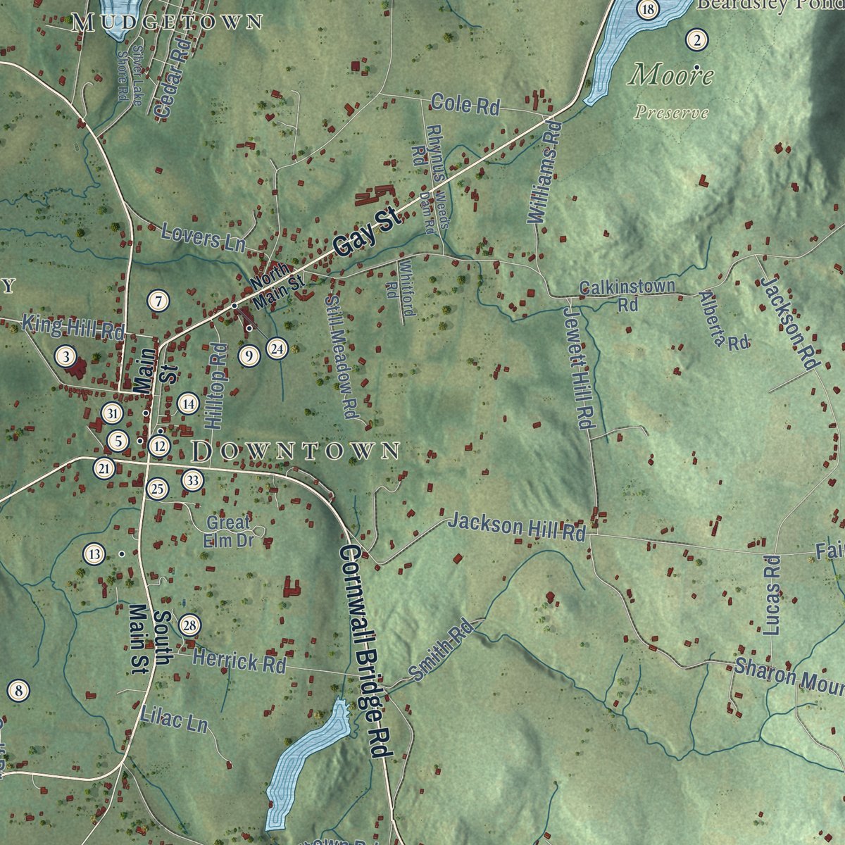 Close-up of the map of Sharon, Connecticut print showing street and building detail
