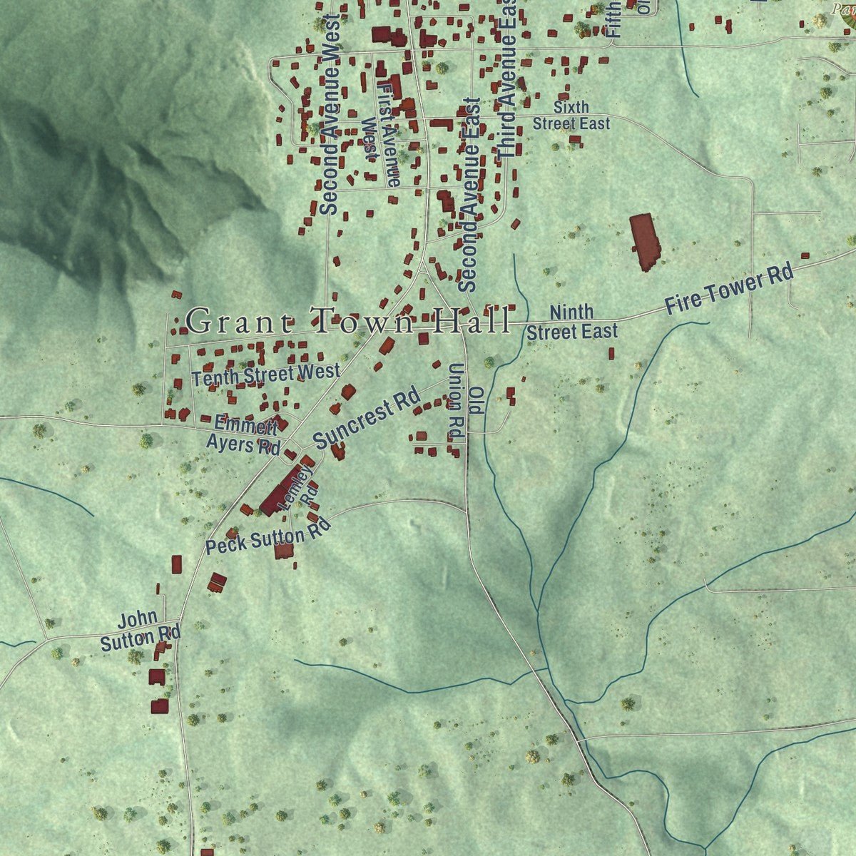 Close-up of the map of Grant, Alabama print showing street and building detail