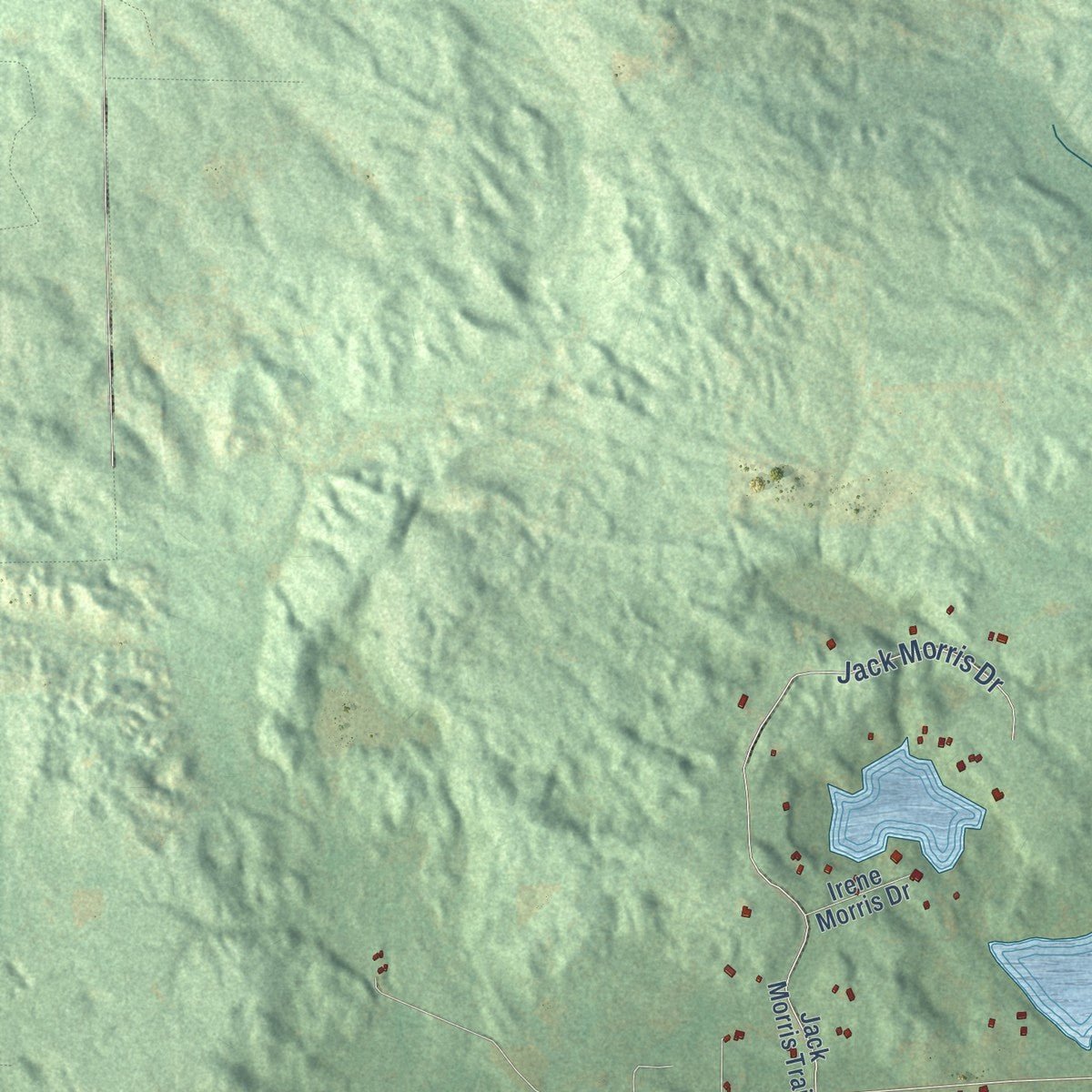 Close-up of the map of Edwards, Michigan print showing street and building detail