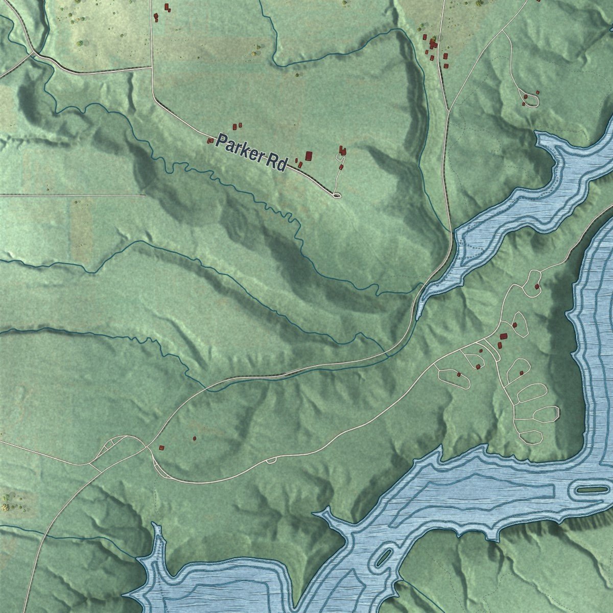 Close-up of the map of Leicester, New York print showing street and building detail