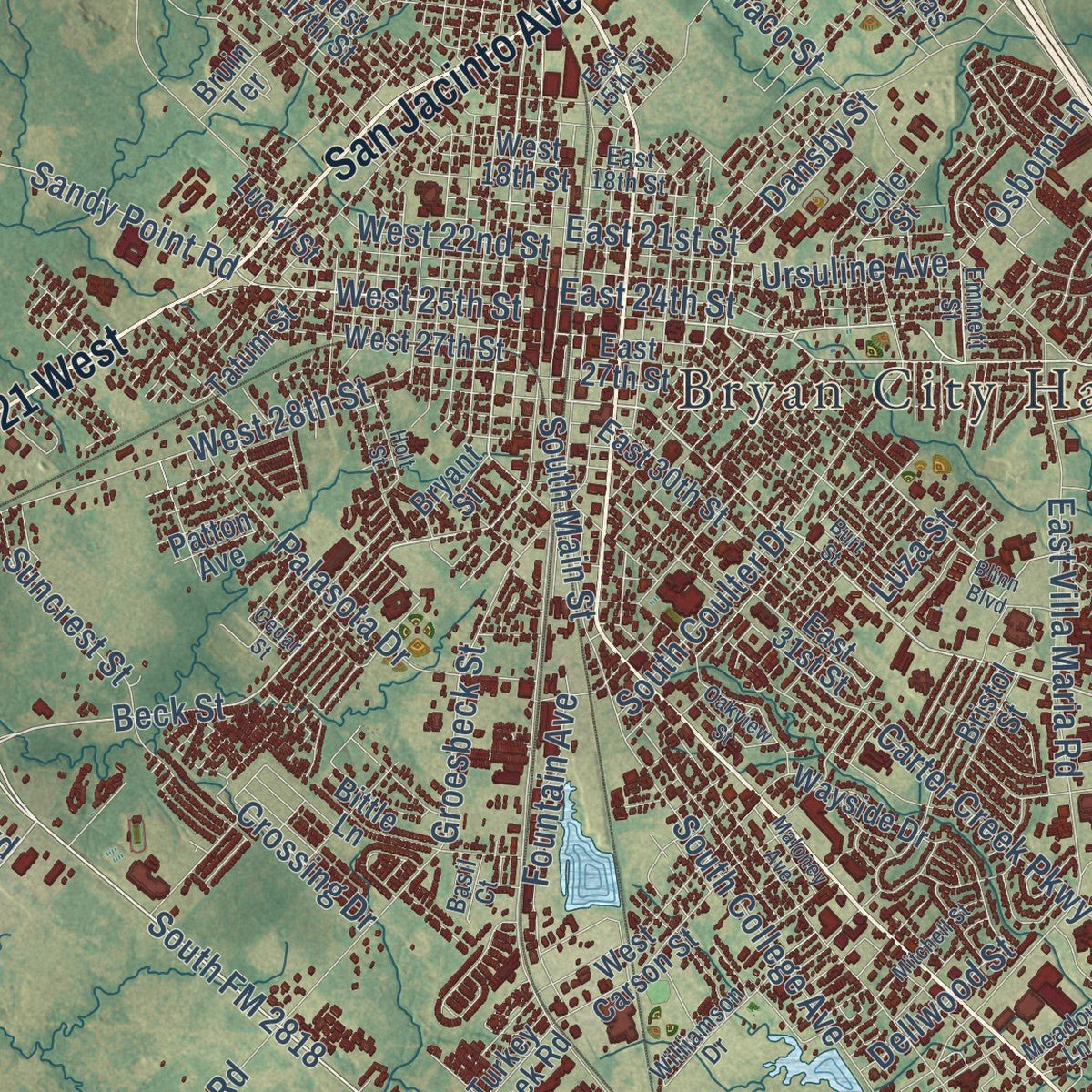 Close-up of the map of Bryan, Texas print showing street and building detail