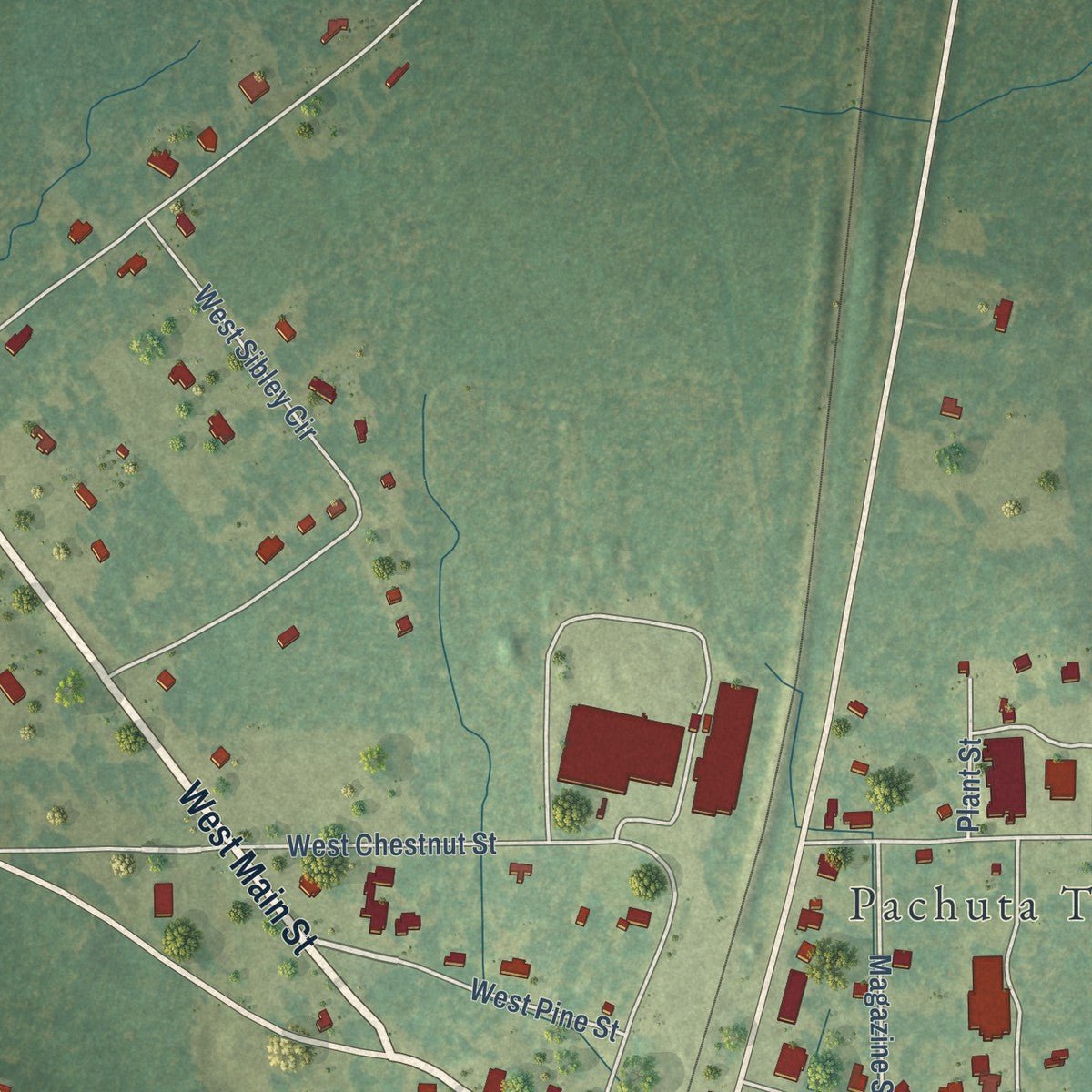 Close-up of the map of Pachuta, Mississippi print showing street and building detail