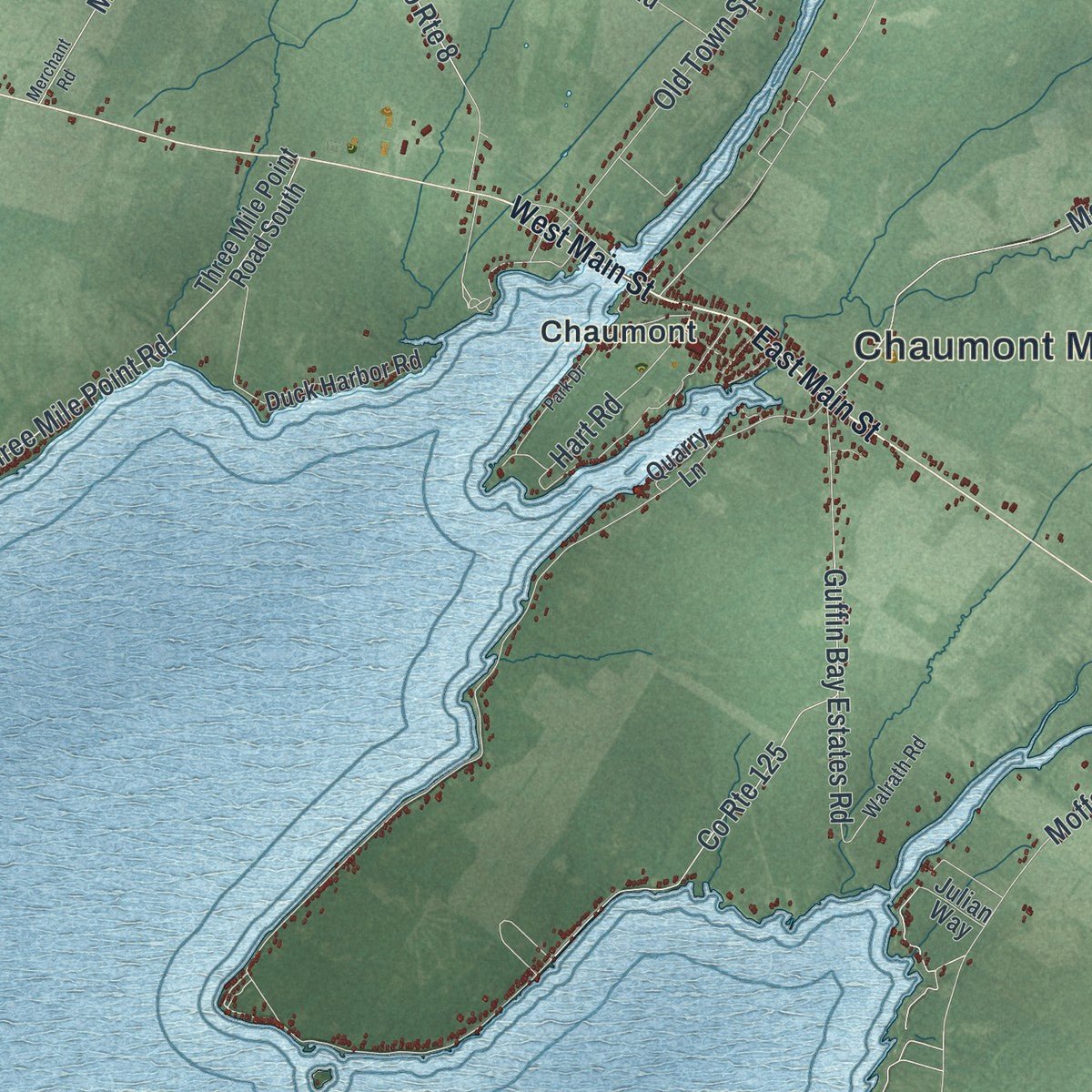 Close-up of the map of Lyme, New York print showing street and building detail