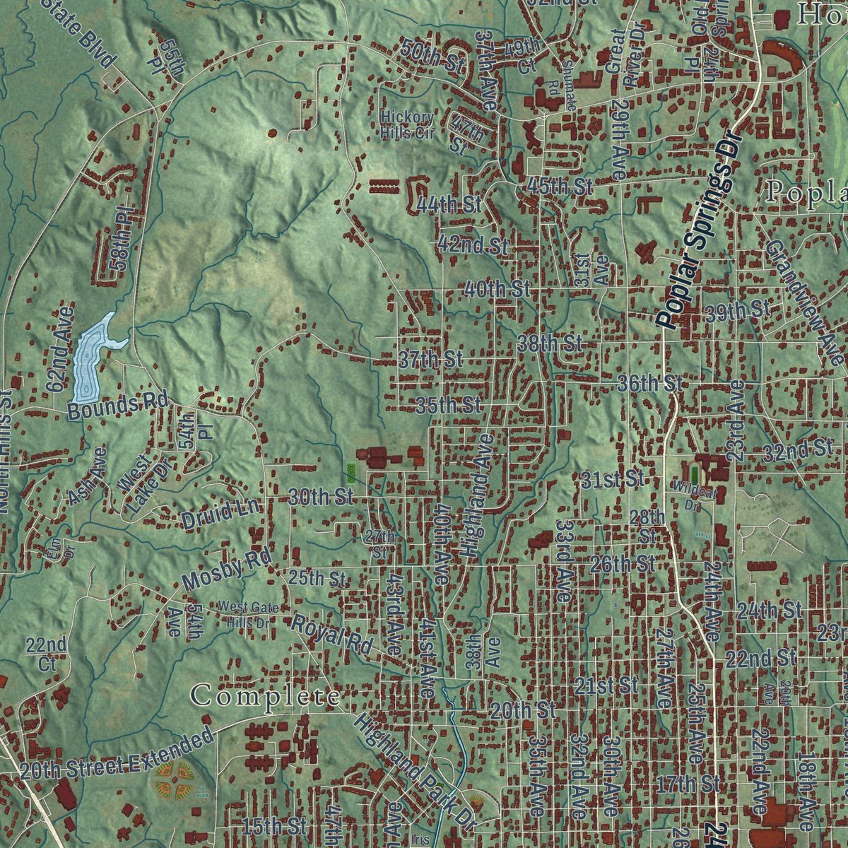 Close-up of the map of Meridian, Mississippi print showing street and building detail