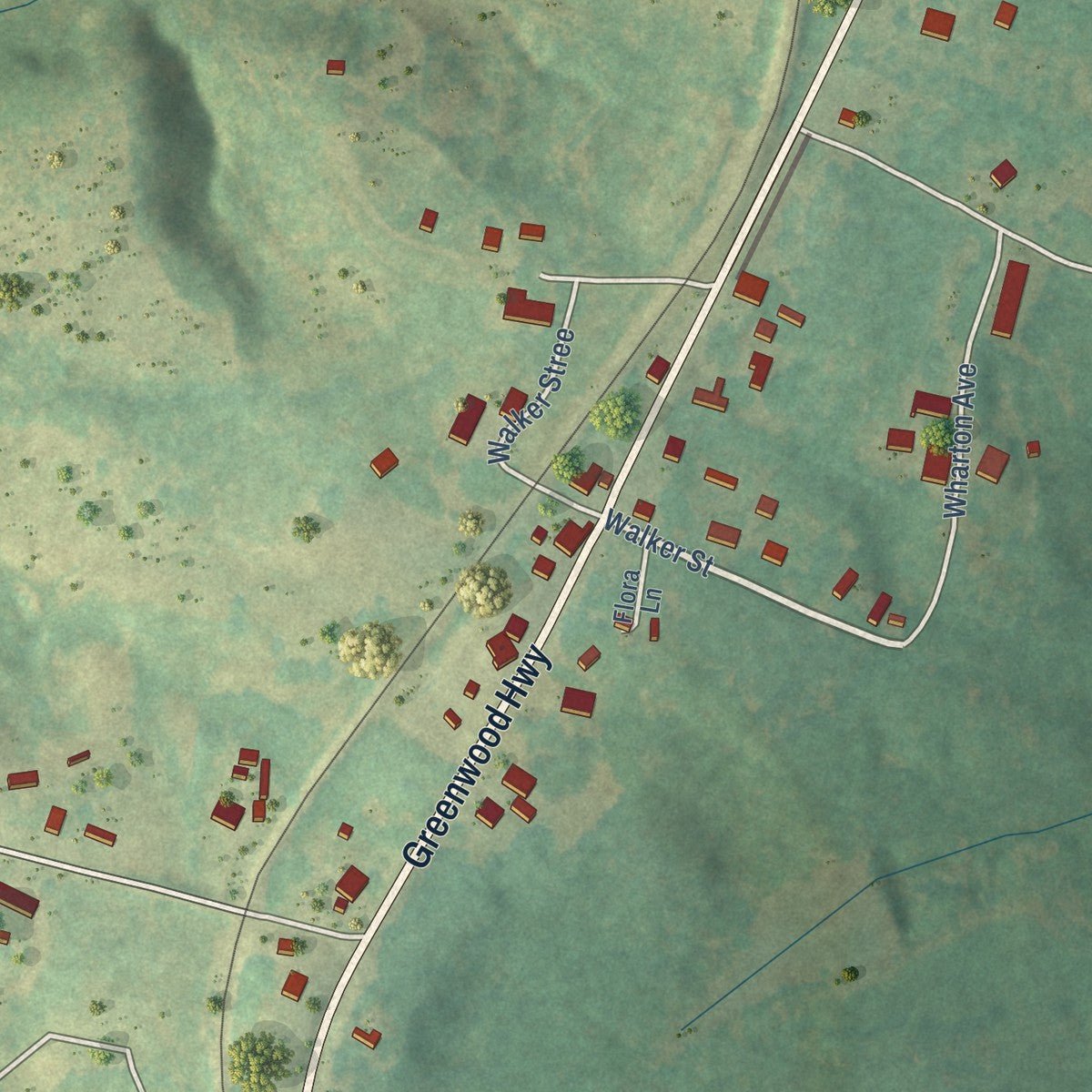 Close-up of the map of Waterloo, South Carolina print showing street and building detail