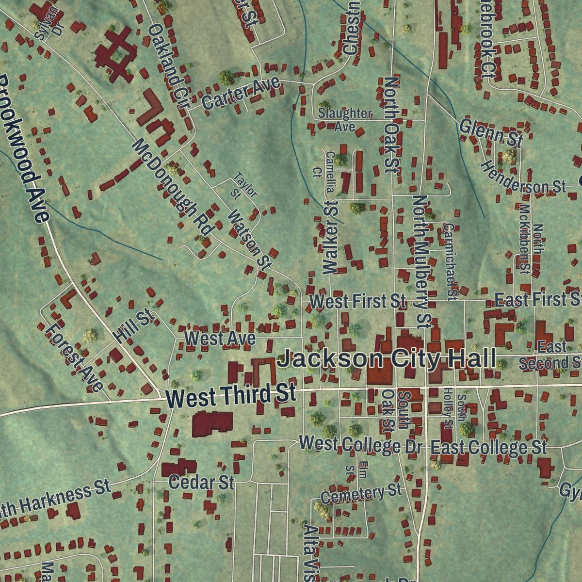 Close-up of the map of Jackson, Georgia print showing street and building detail