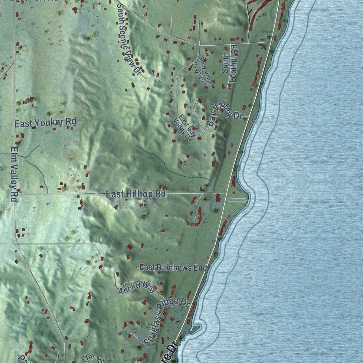 Close-up of the map of Bingham, Leelanau County, Michigan print showing street and building detail