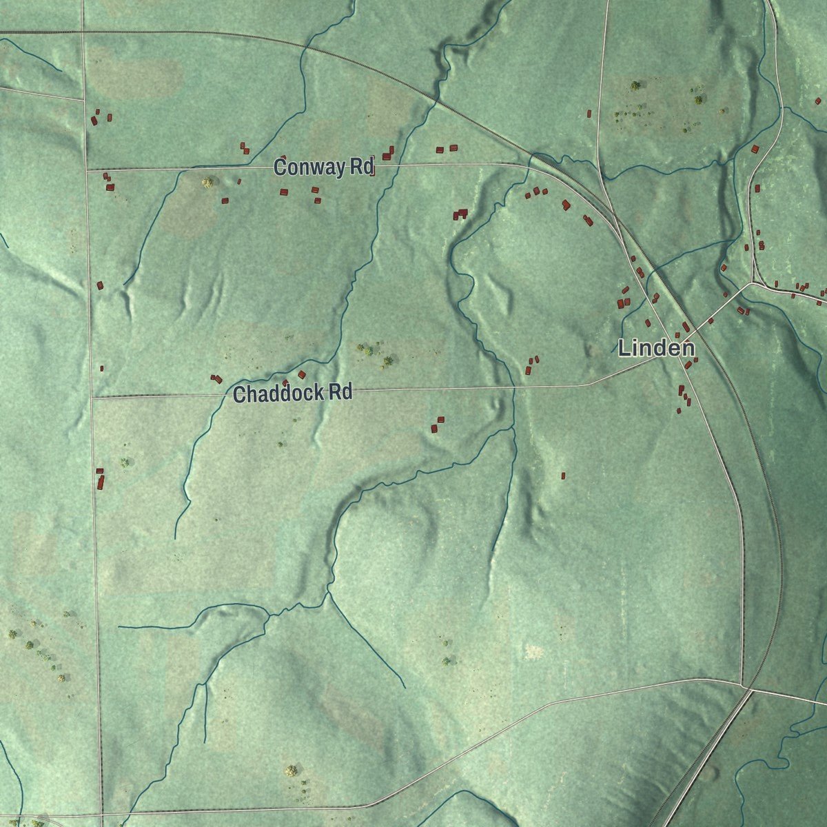 Close-up of the map of Bethany, New York print showing street and building detail