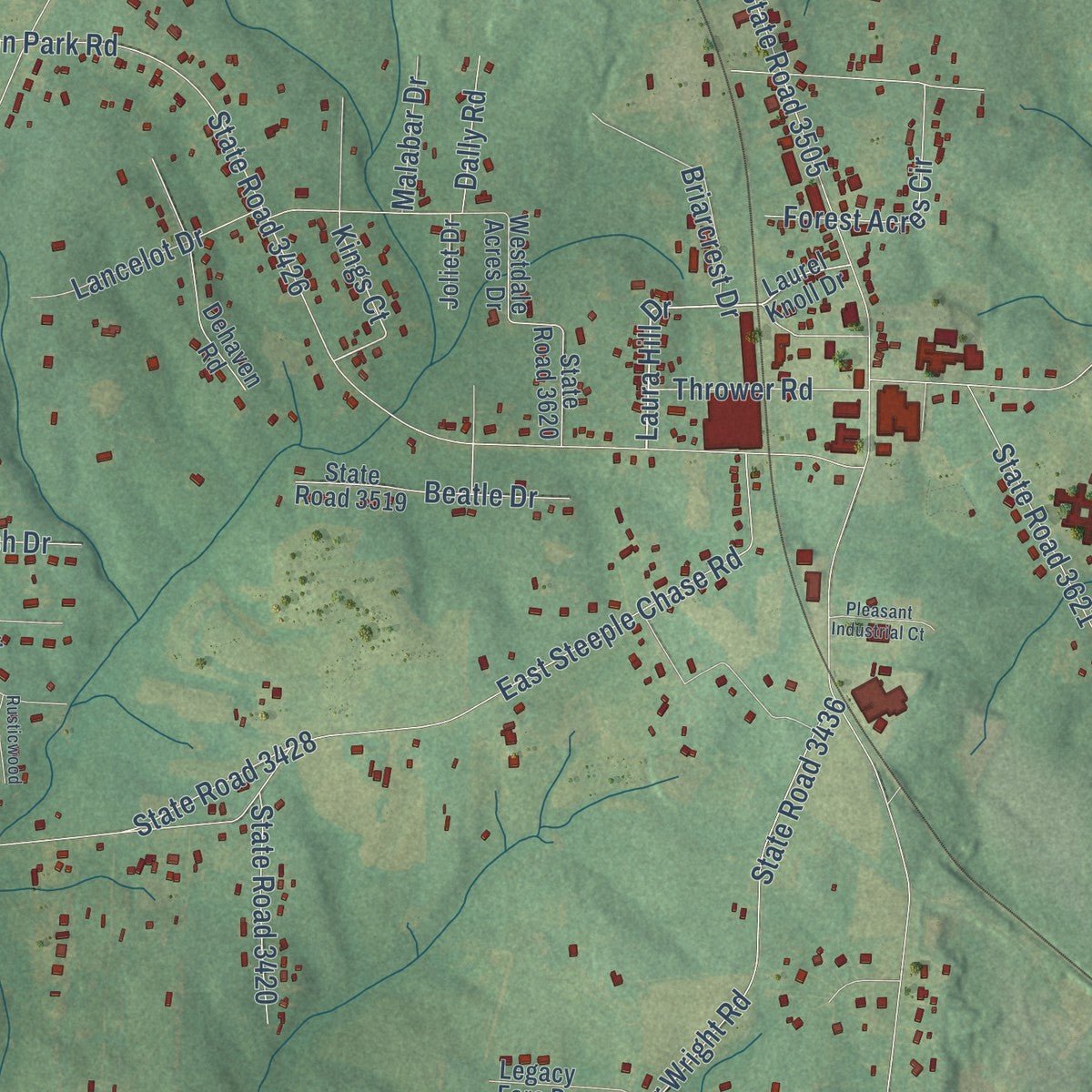 Close-up of the map of Pleasant Garden, North Carolina print showing street and building detail