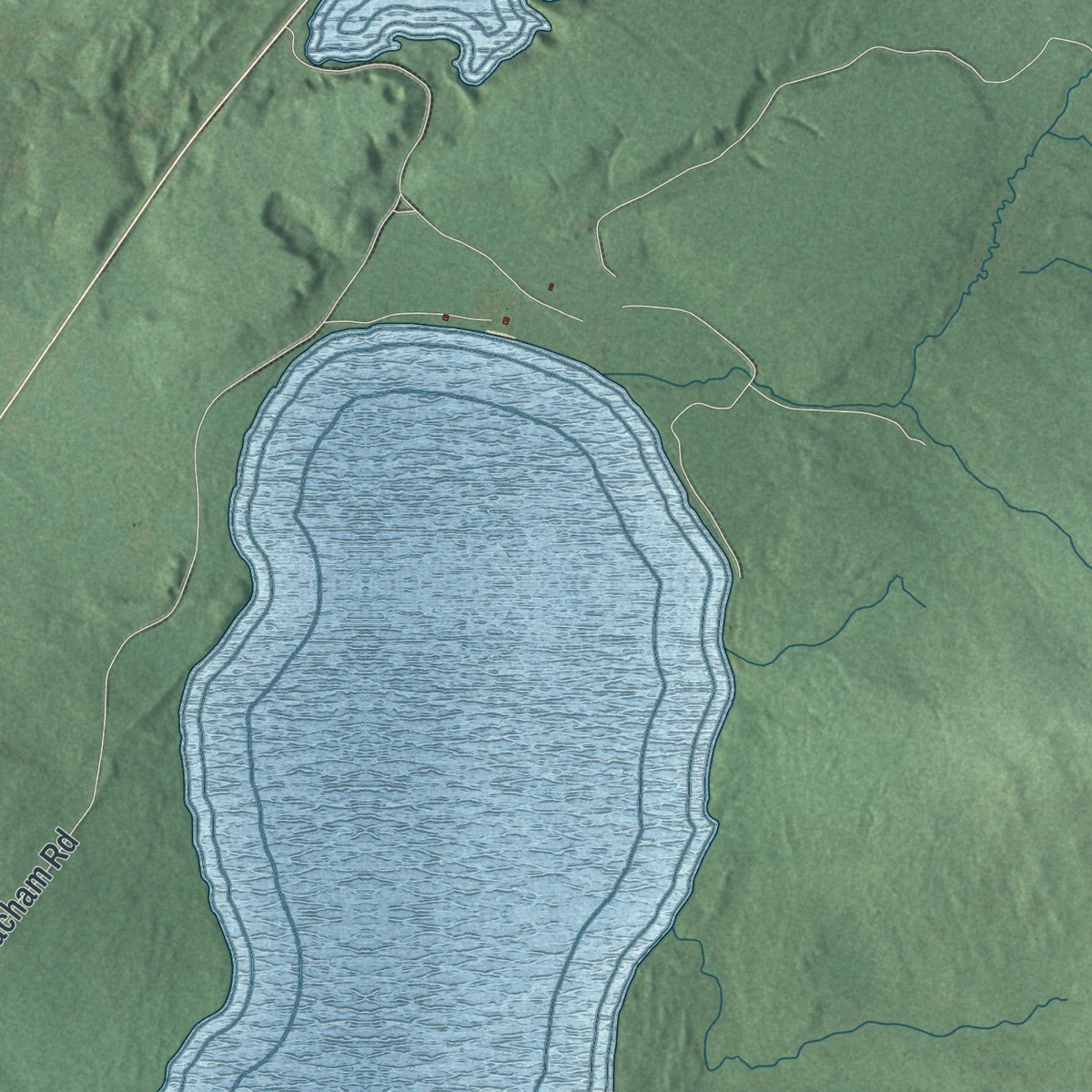 Close-up of the map of Duane, New York print showing street and building detail