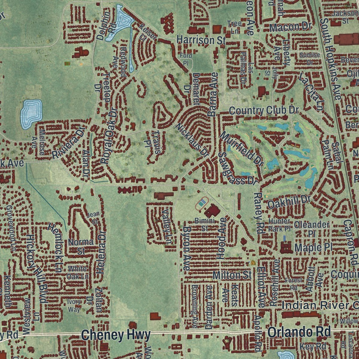 Close-up of the map of Titusville, Florida print showing street and building detail