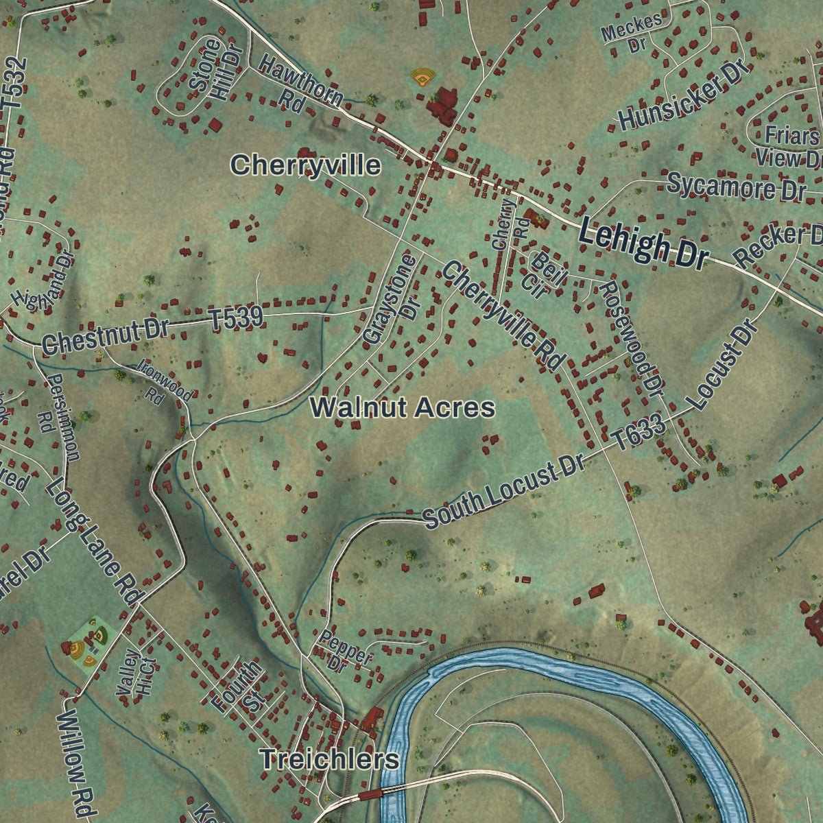 Close-up of the map of Lehigh, Northampton County, Pennsylvania print showing street and building detail
