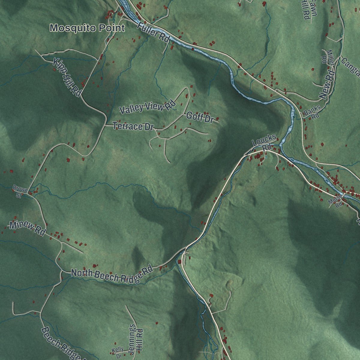 Close-up of the map of Lexington, New York print showing street and building detail