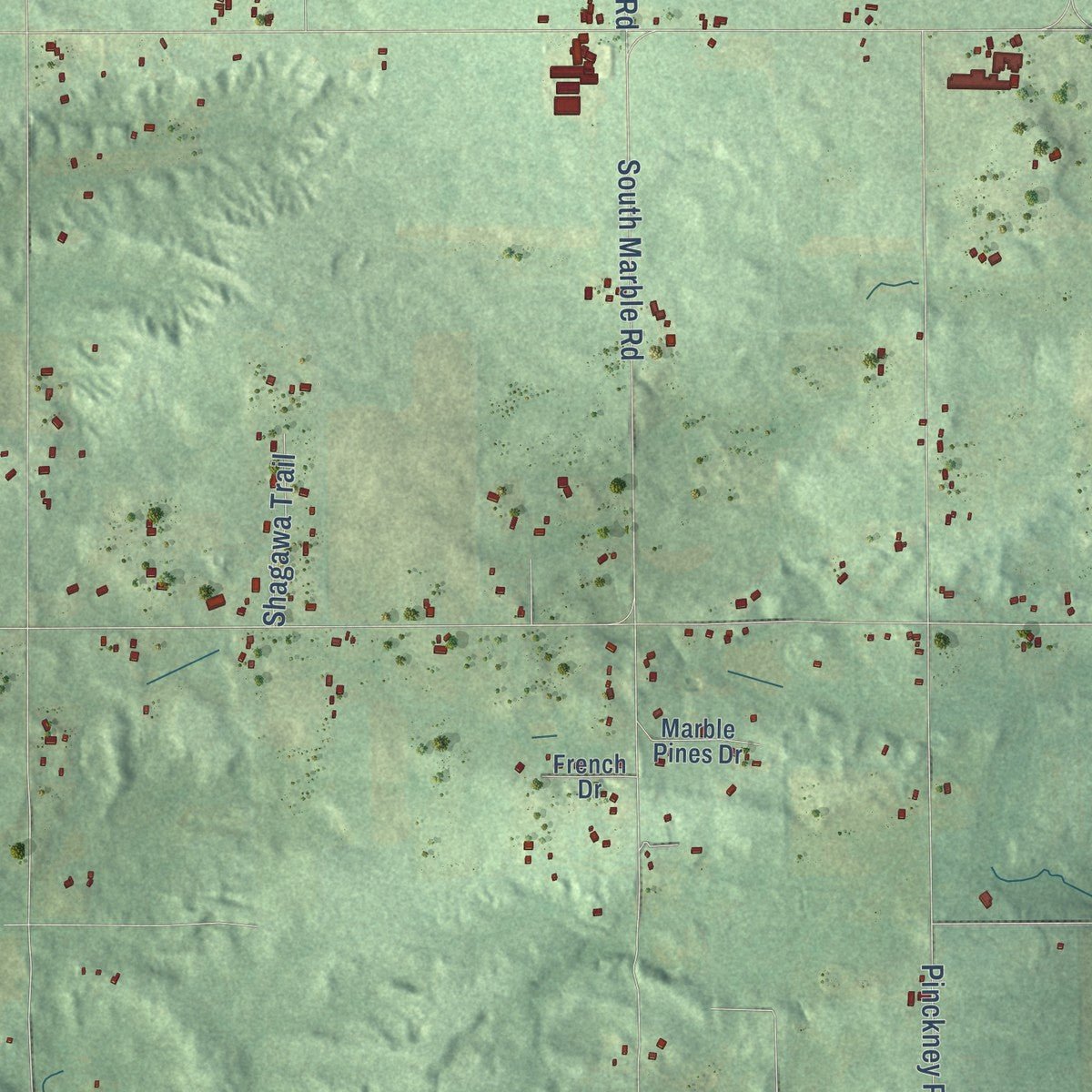 Close-up of the map of Keene, Michigan print showing street and building detail