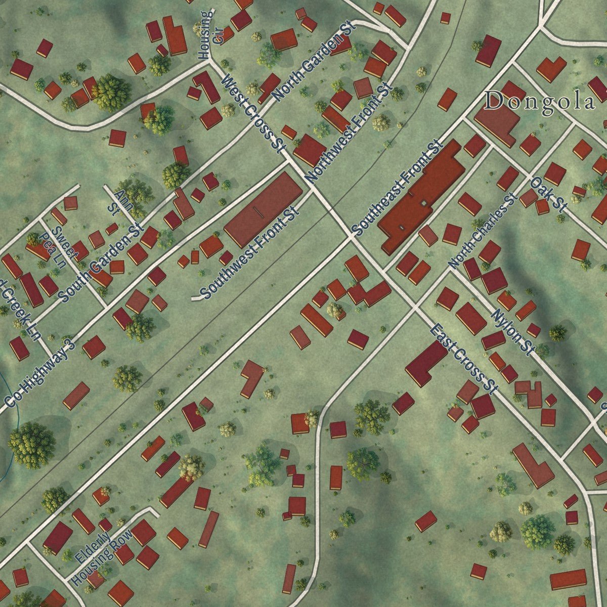 Close-up of the map of Dongola, Illinois print showing street and building detail