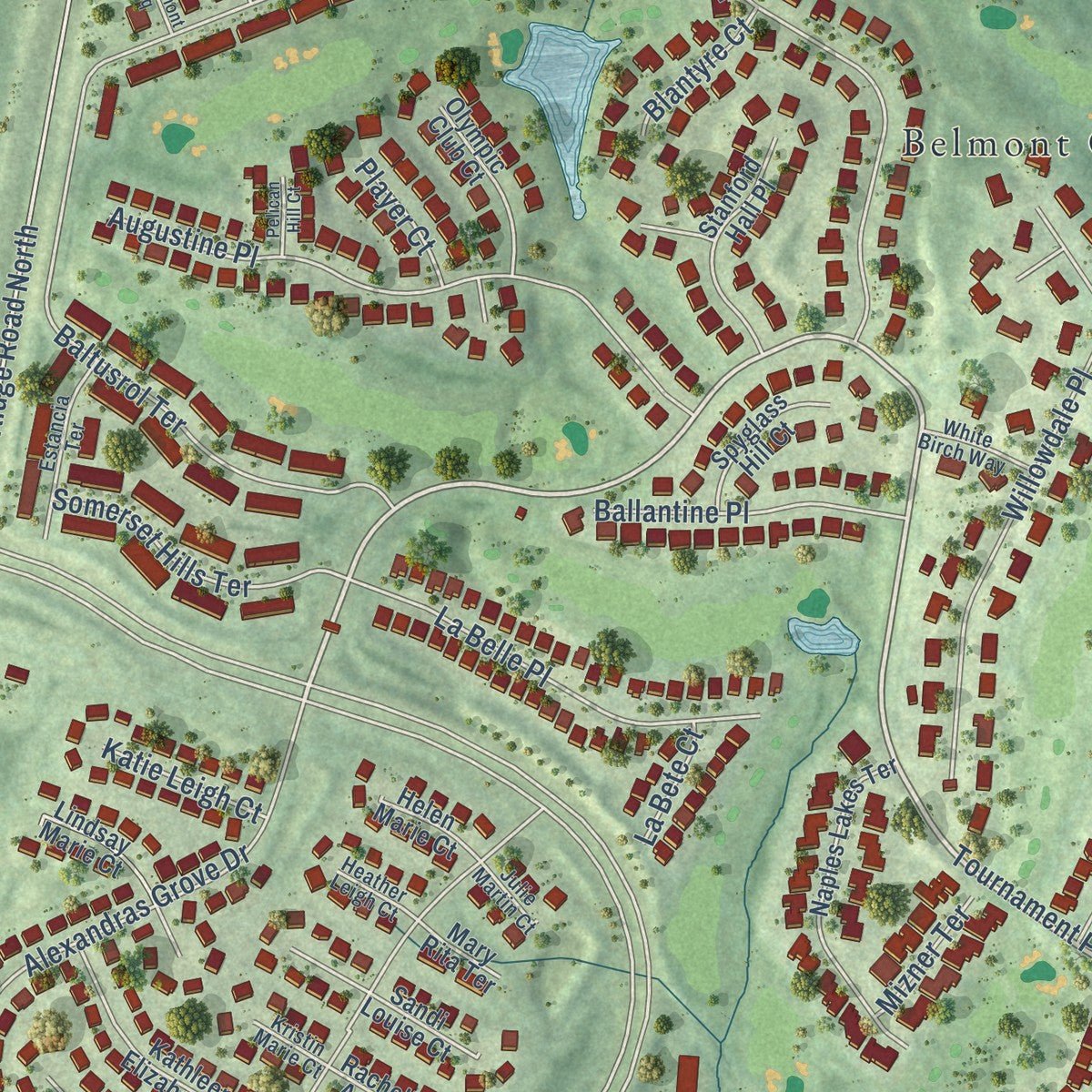 Close-up of the map of Belmont, Virginia print showing street and building detail