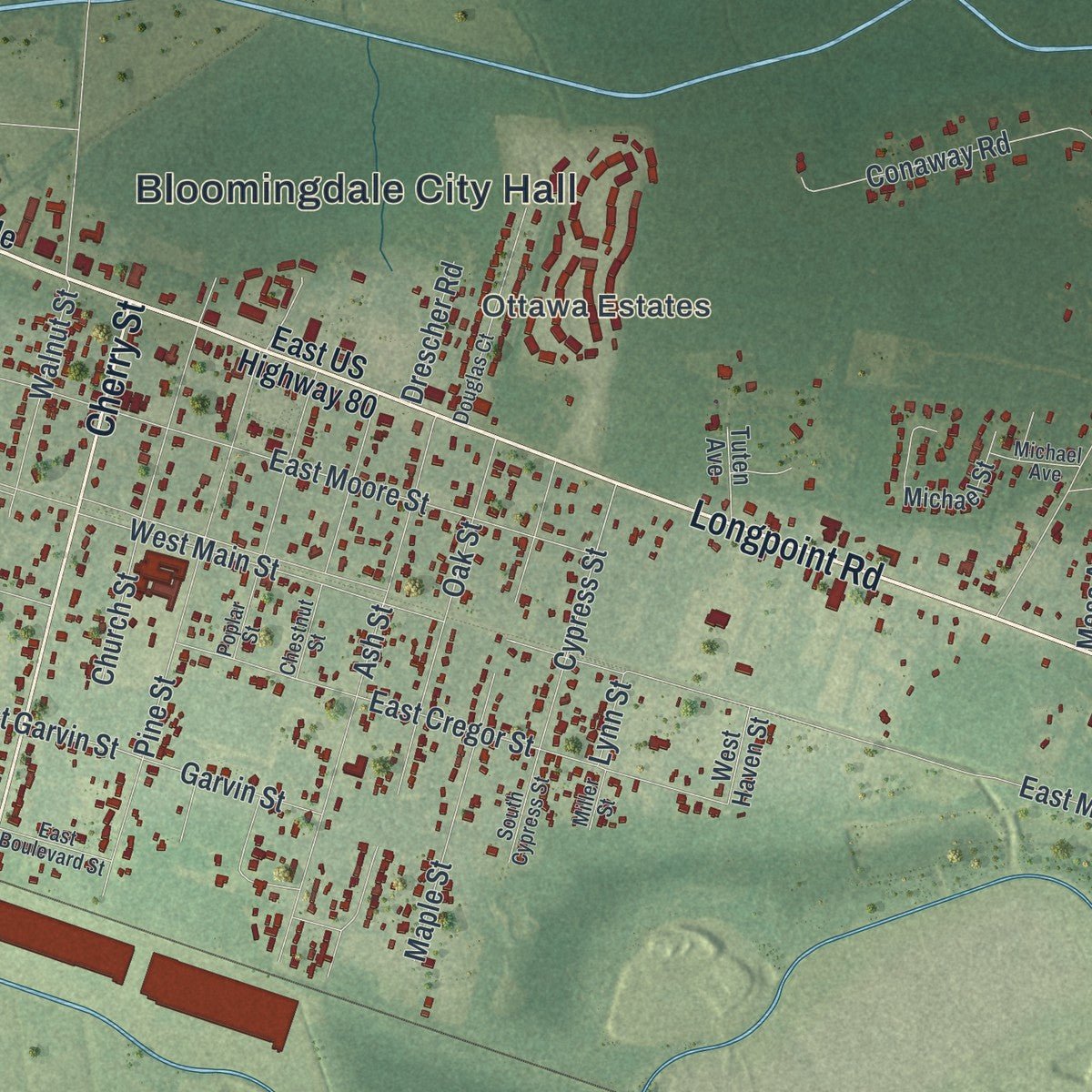 Close-up of the map of Bloomingdale, Georgia print showing street and building detail