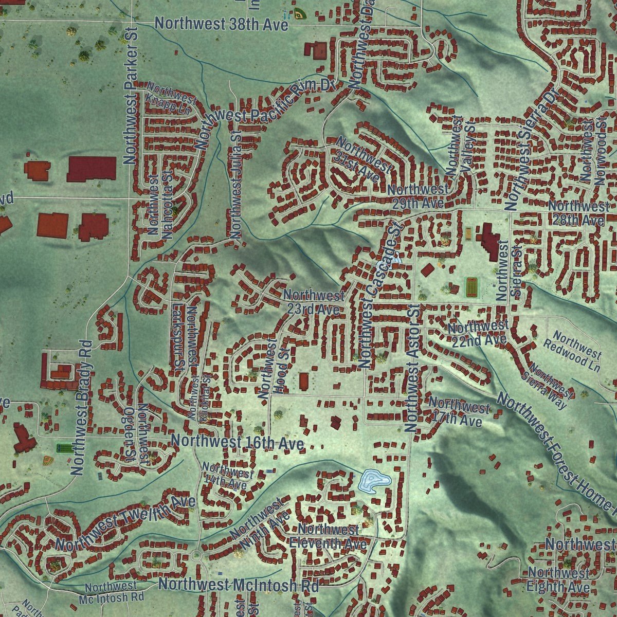 Close-up of the map of Camas, Washington print showing street and building detail
