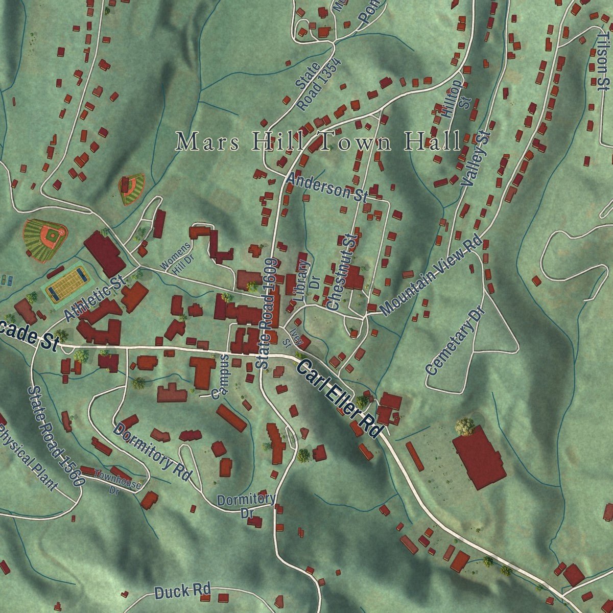 Close-up of the map of Mars Hill, North Carolina print showing street and building detail