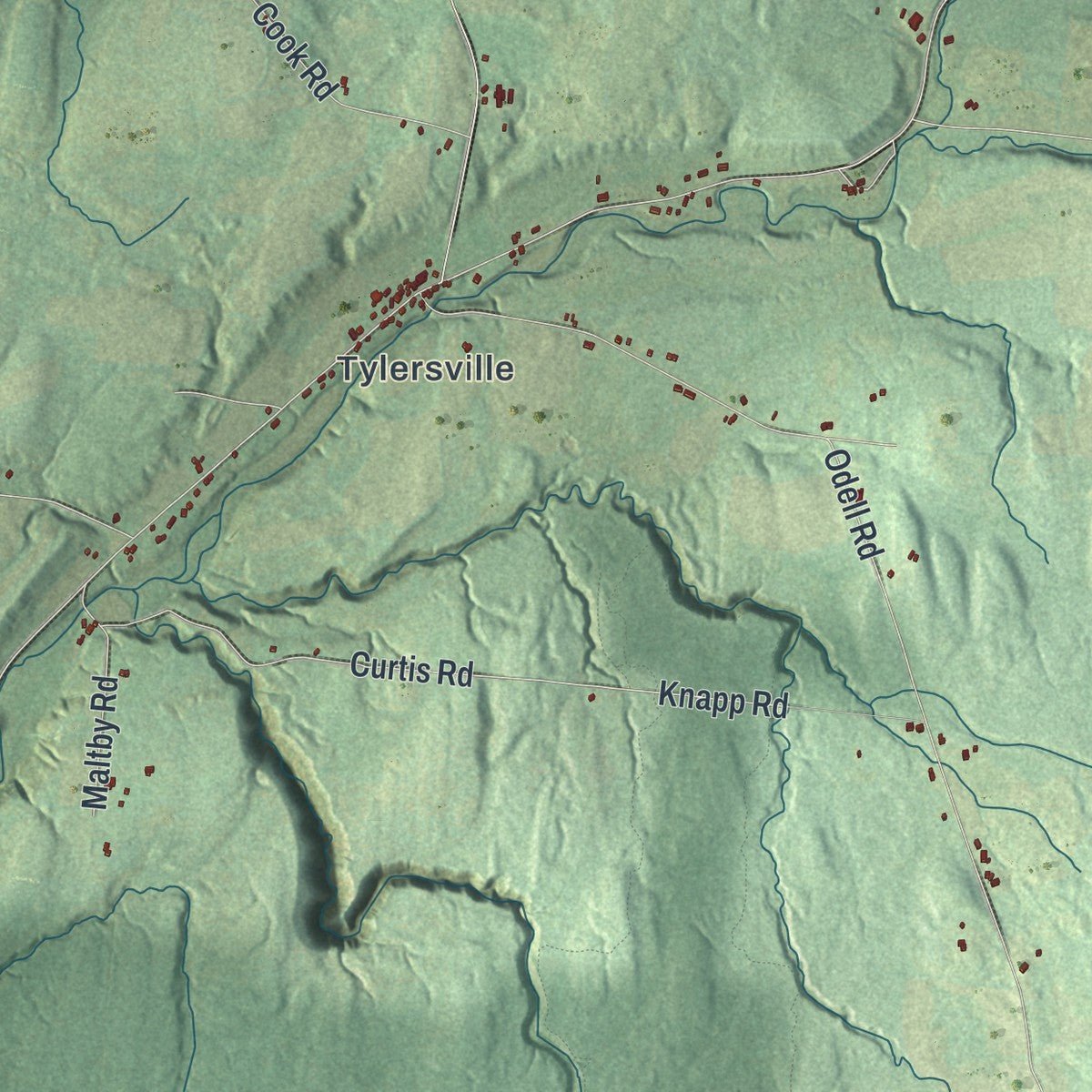 Close-up of the map of Rutland, New York print showing street and building detail